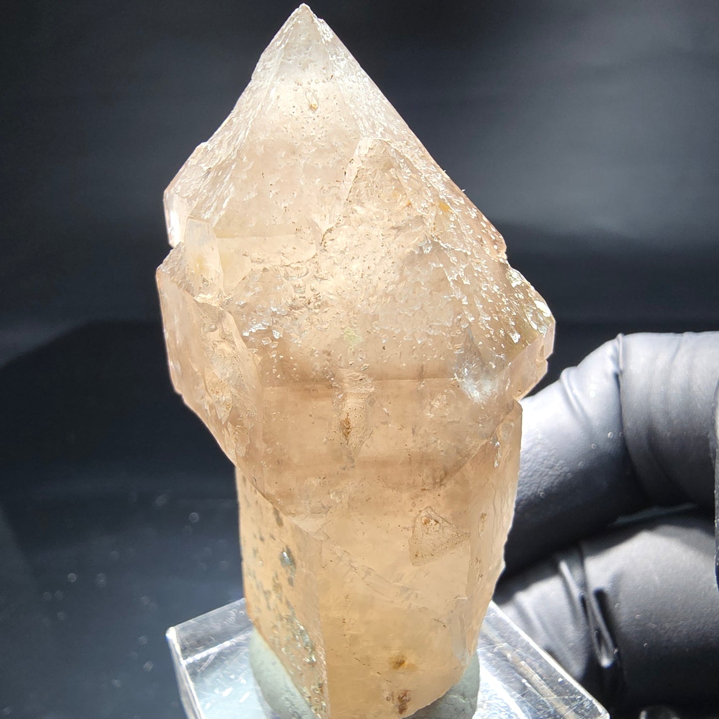 Schöne Phantom Rauchquarz Zepter Spitze Erongo, Namibia 53*34*25mm Sammlung
