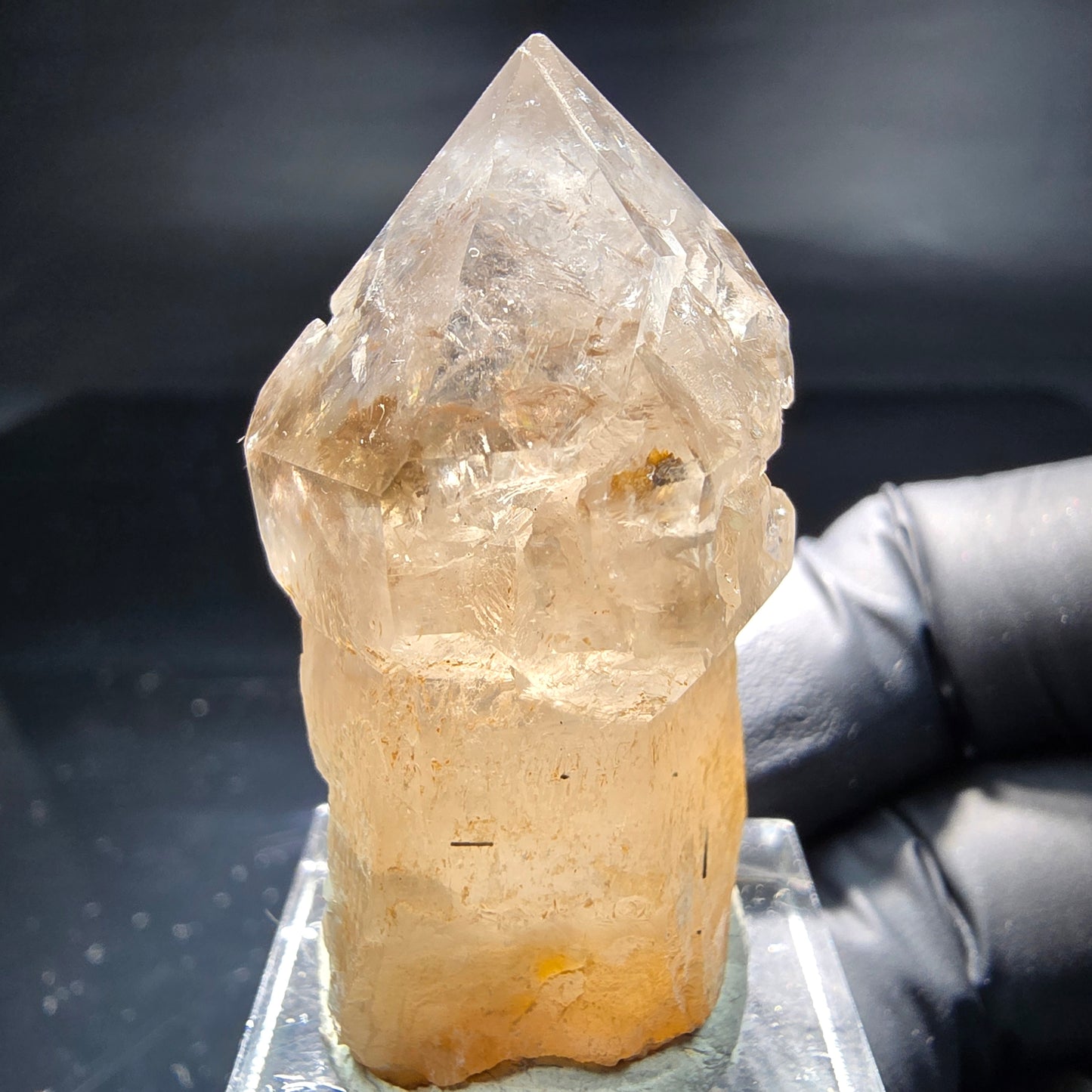Schöne Phantom Rauchquarz Zepter Spitze Erongo, Namibia 43*23*20mm Sammlung