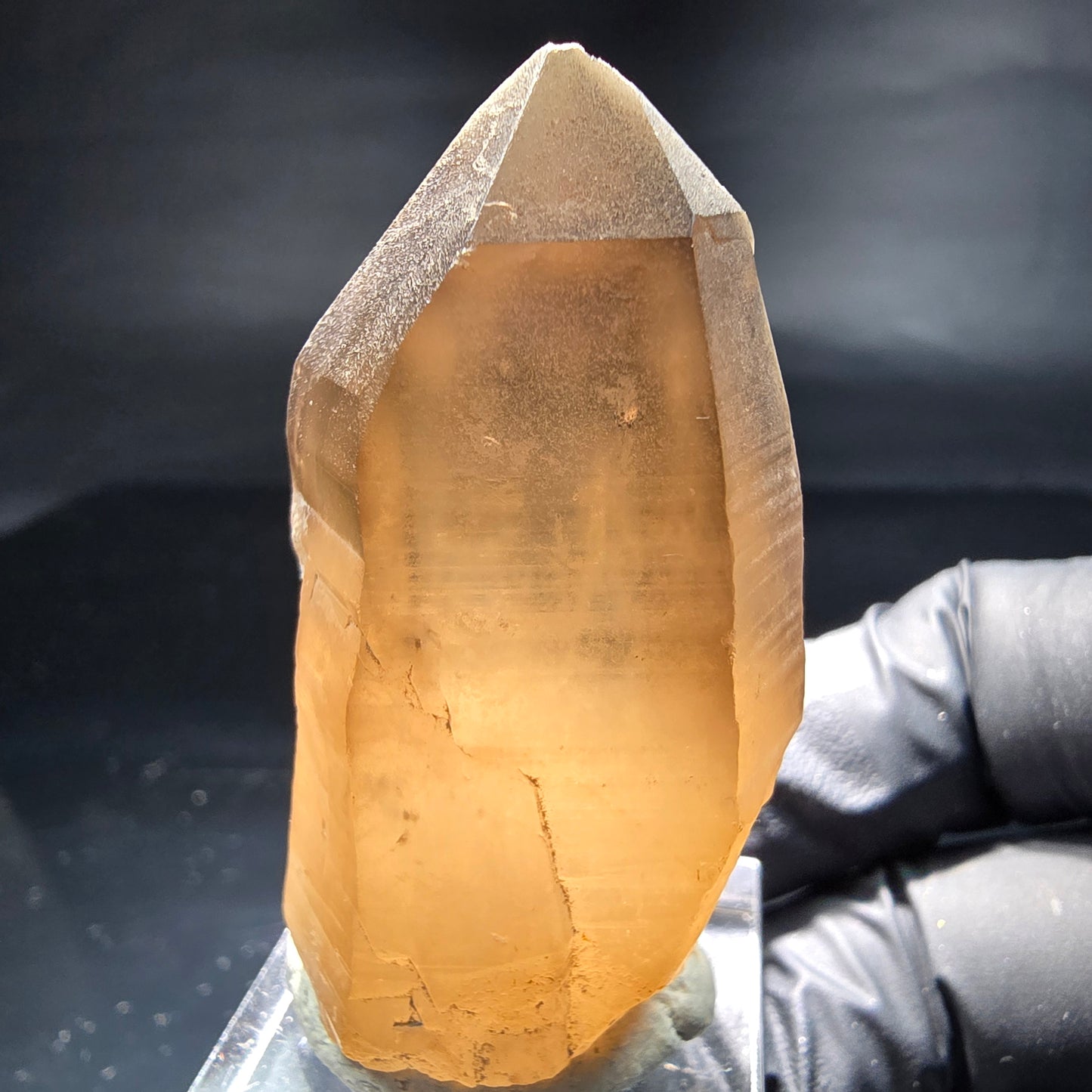 Klare Phantom Rauchquarz Zepter Spitze braun Erongo, Namibia 48*28*26mm Sammlung