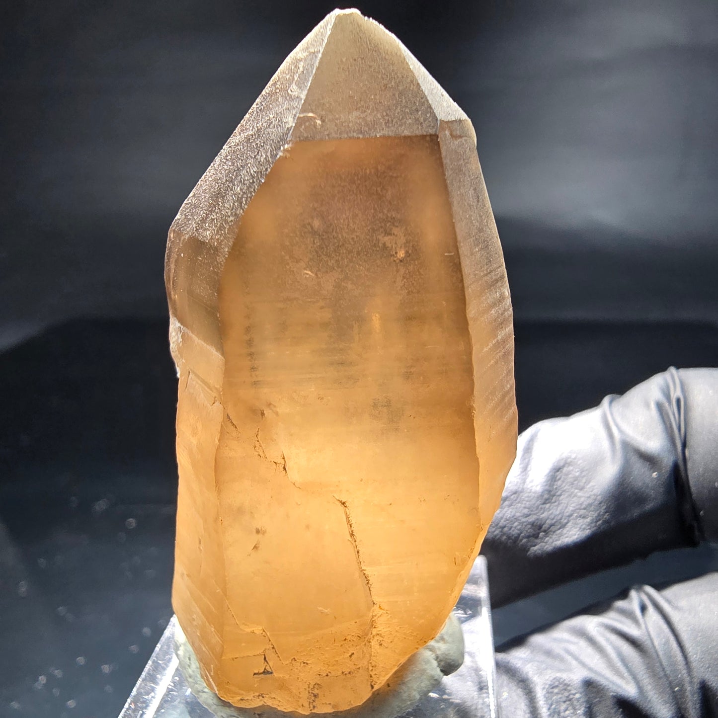 Klare Phantom Rauchquarz Zepter Spitze braun Erongo, Namibia 48*28*26mm Sammlung