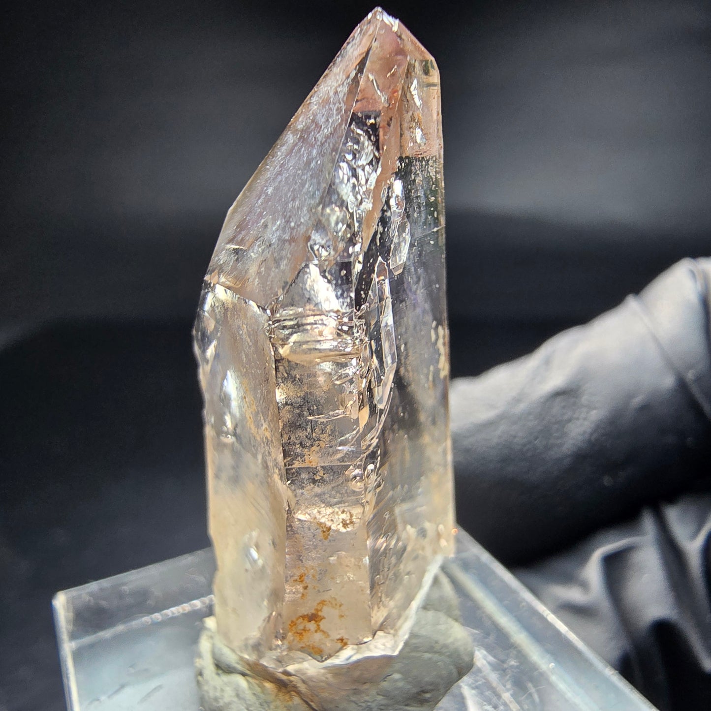 Quartz fumé fantôme clair, pointe de sceptre Goboboseb namibie, Collection 34x15x14mm