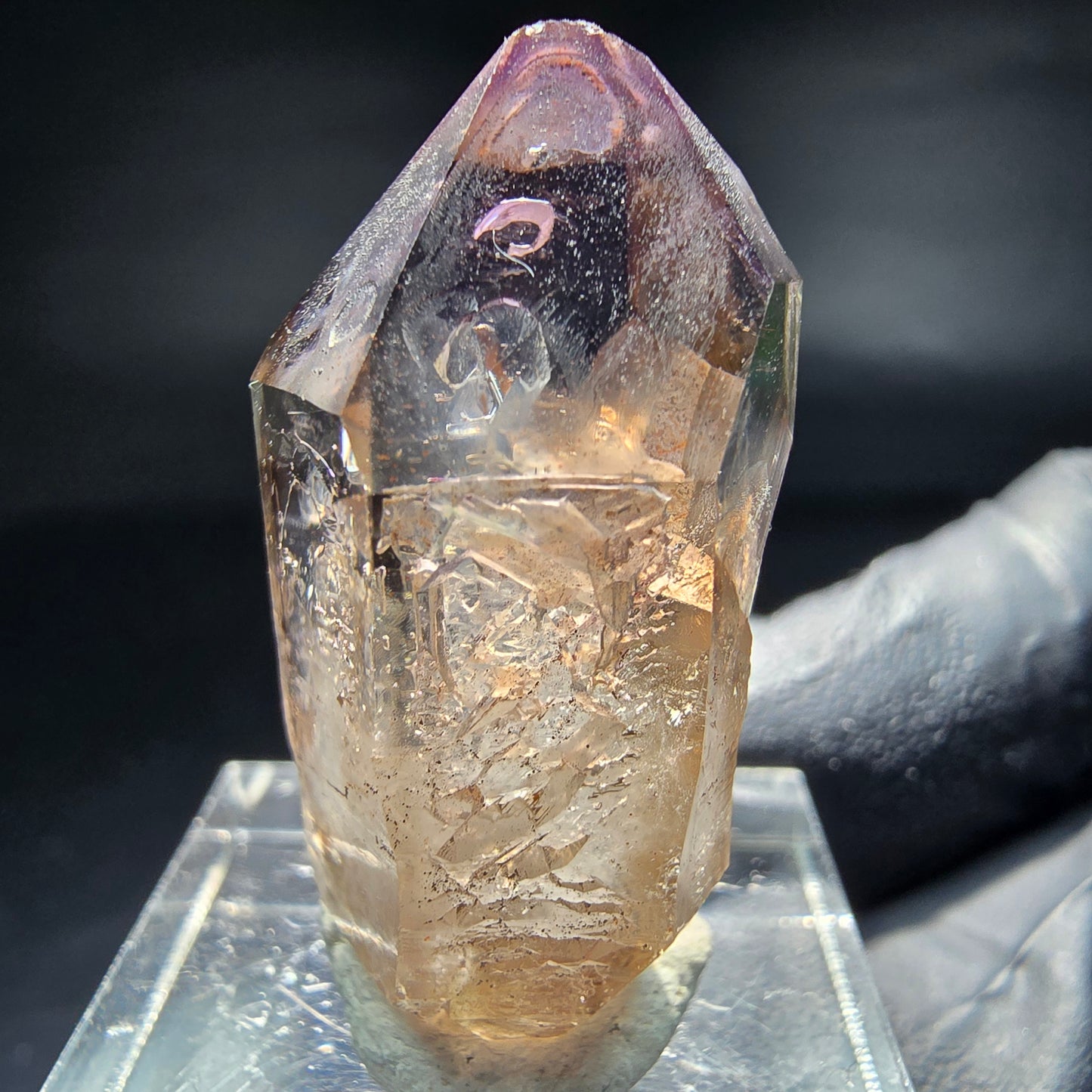 Klare Phantom Amethyst Zepter Spitze Goboboseb Namibia 33*17*14mm Sammlung