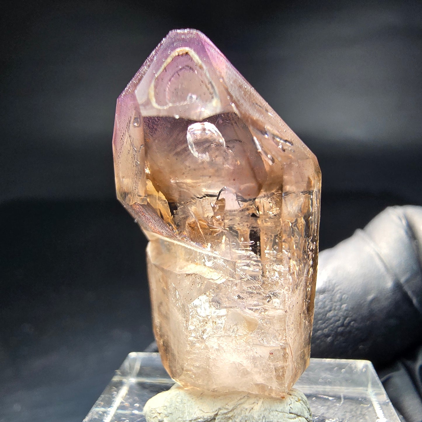 Klare Phantom Amethyst Zepter Spitze Goboboseb Namibia 33*17*14mm Sammlung