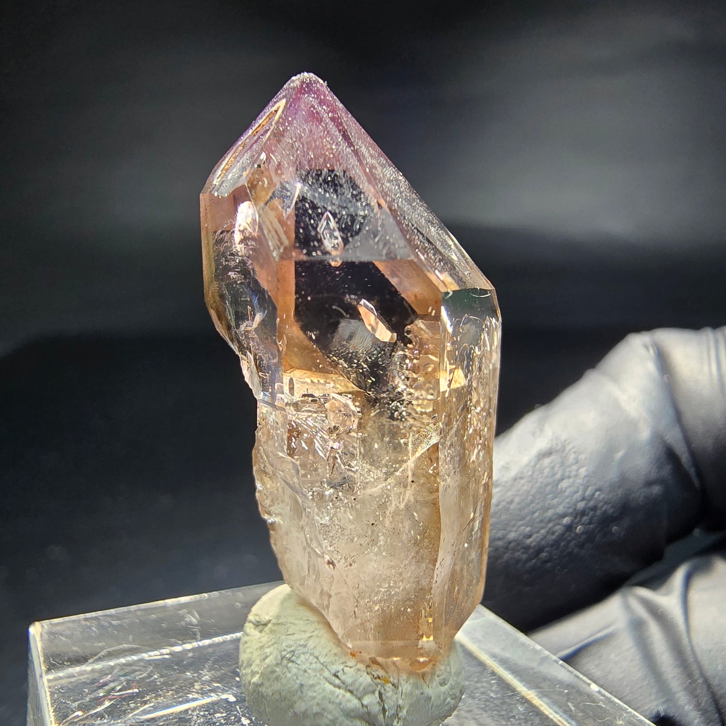 Klare Phantom Amethyst Zepter Spitze Goboboseb Namibia 33*17*14mm Sammlung
