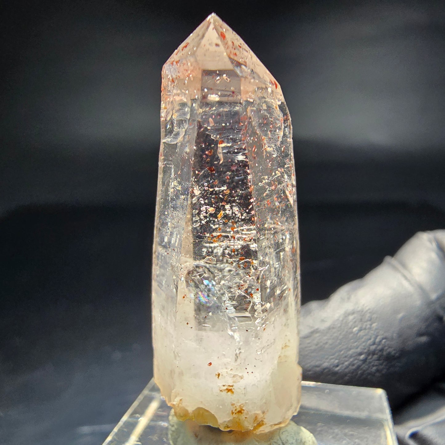 Klare Rauchquarz Spitze mit rotem Eisen Goboboseb Namibia 38*14*11mm Sammlung