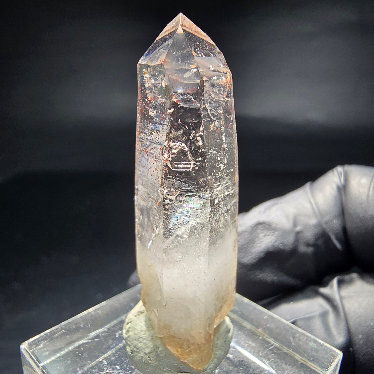 Klare Rauchquarz Spitze mit rotem Eisen Goboboseb Namibia 38*14*11mm Sammlung