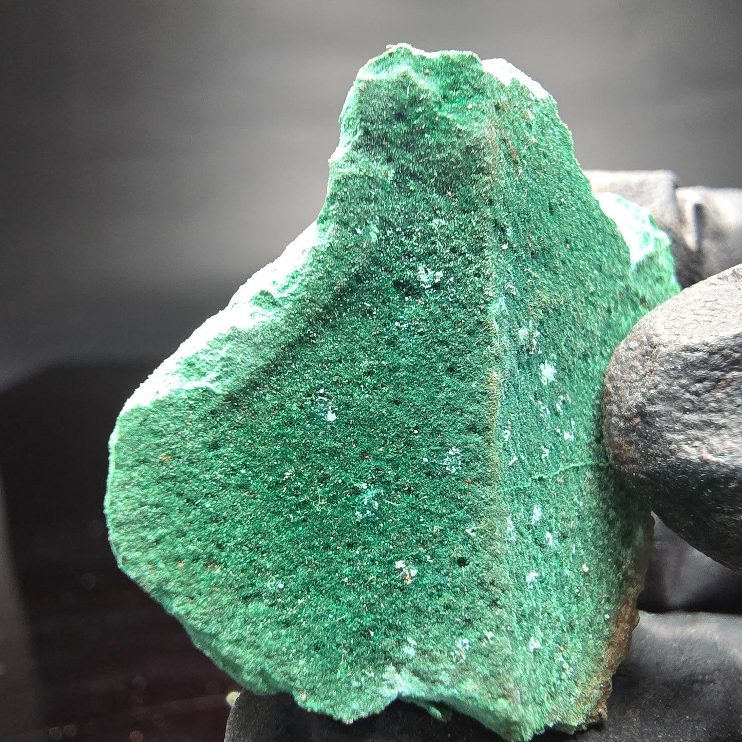 Seltene Malachit auf Matrix Stufe grün Kaokoveld, Namibia 40*32*22mm Sammlung