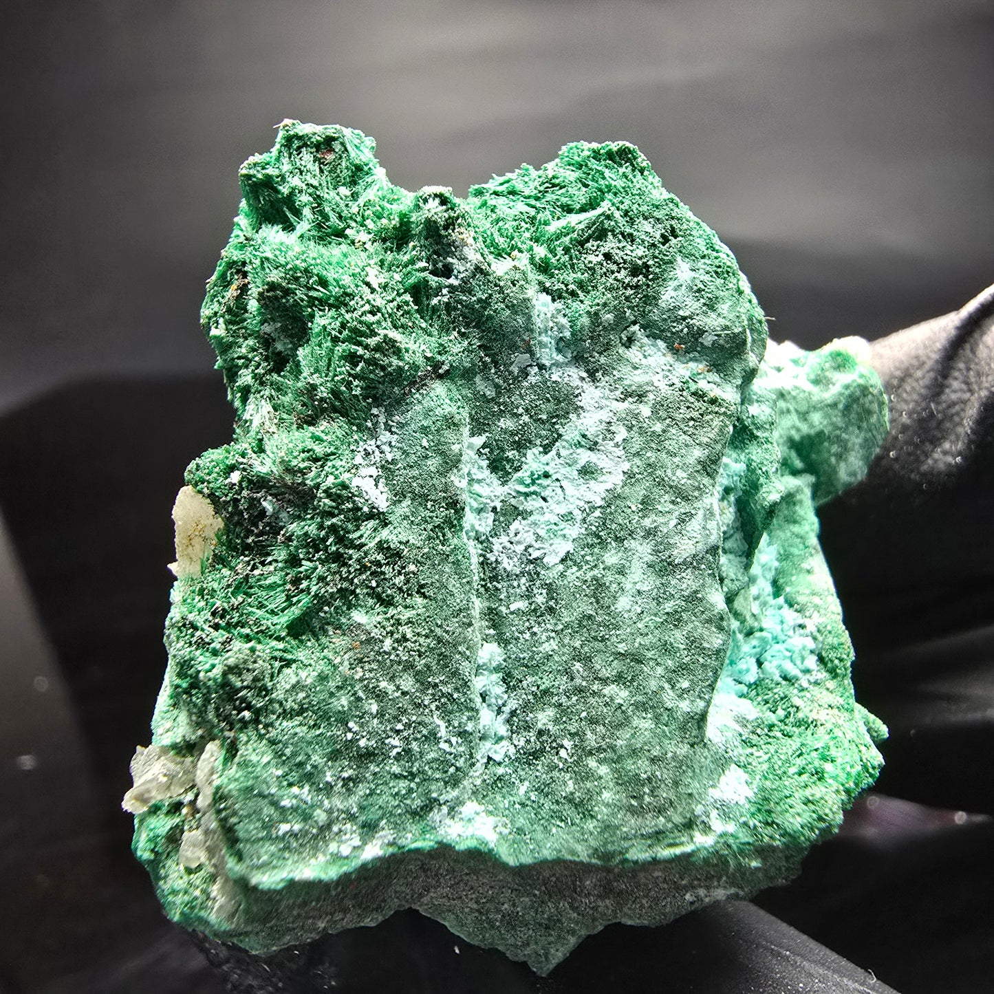 Seltene Malachit, Chrysokoll, Quarz Stufe Kaokoveld, Namibia 53*38*34mm Sammlung