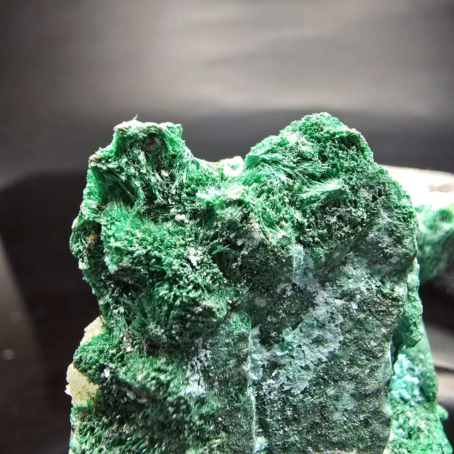 Seltene Malachit, Chrysokoll, Quarz Stufe Kaokoveld, Namibia 53*38*34mm Sammlung