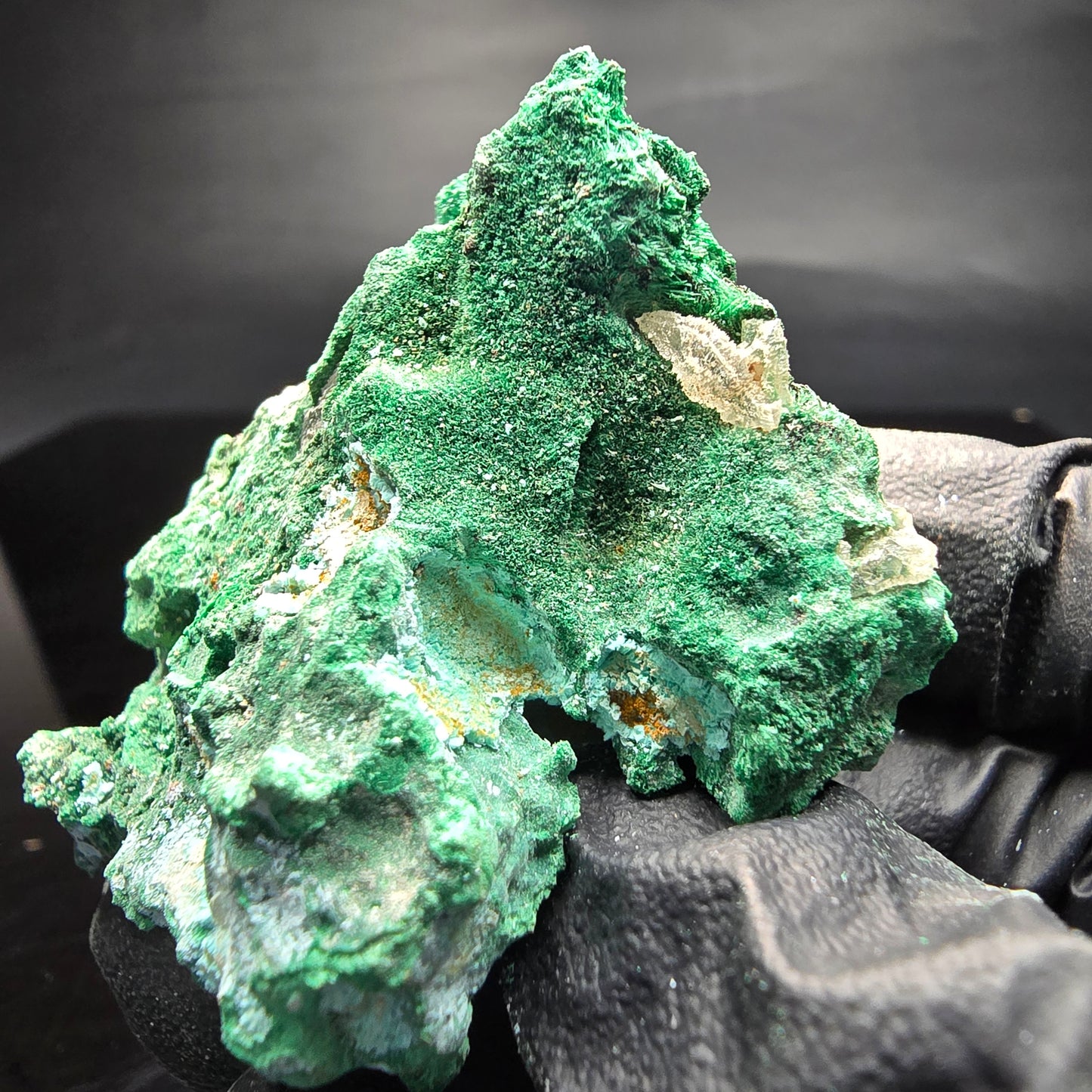 Seltene Malachit, Chrysokoll, Quarz Stufe Kaokoveld, Namibia 53*38*34mm Sammlung