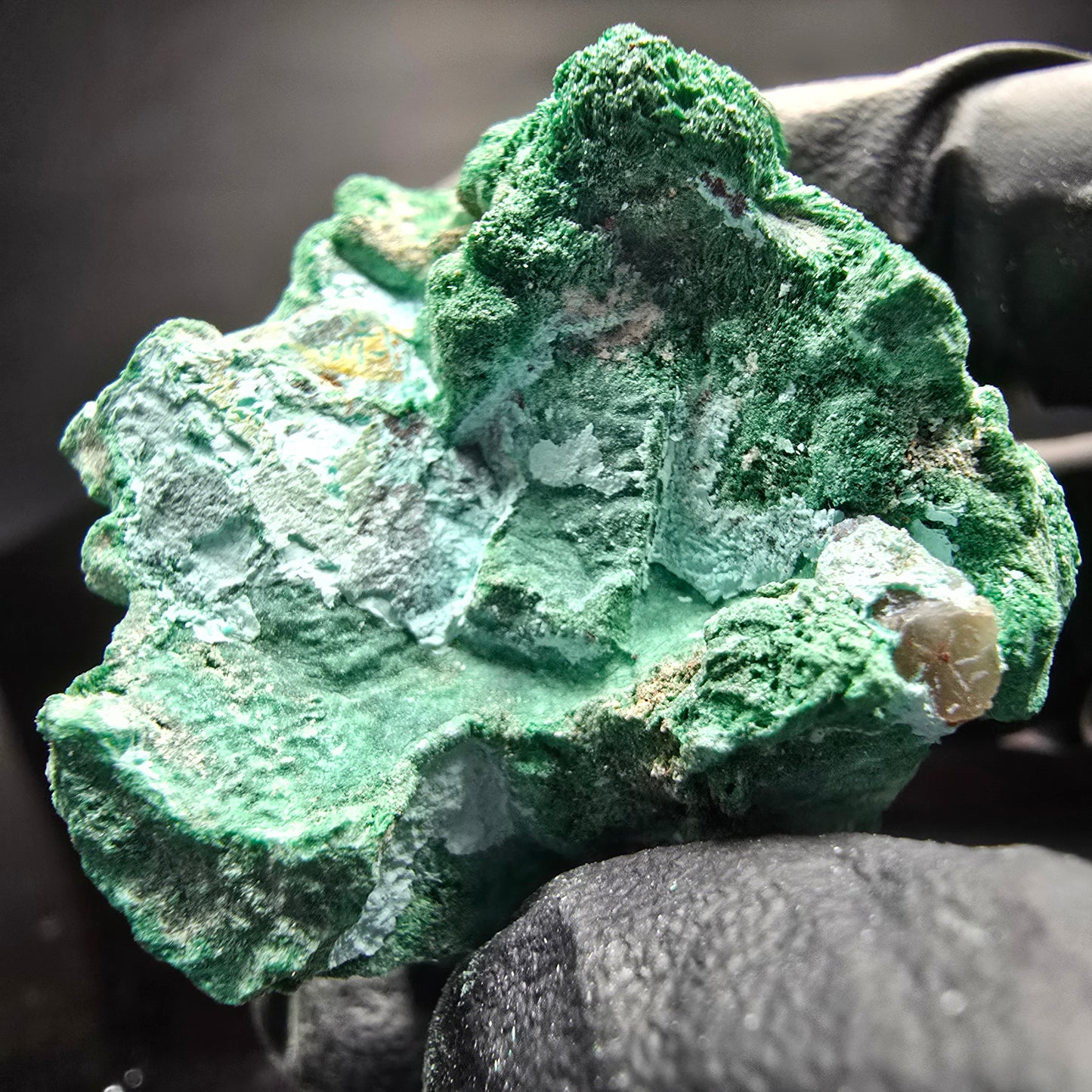 Seltene Malachit, Chrysokoll Stufe Kaokoveld, Namibia 40*31*31mm Sammlung