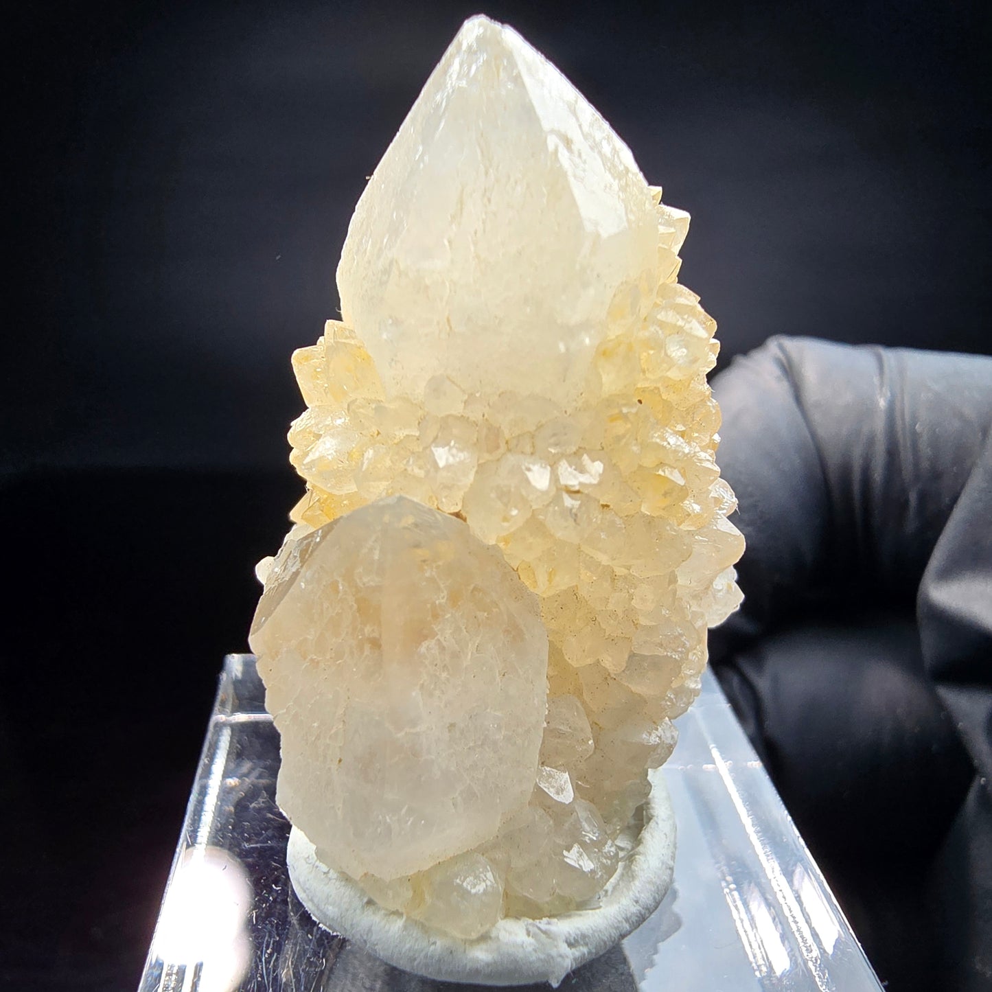 Quartz cactus, quartz spiritueux niveau XX Boekenhouthoek, collection Afrique du Sud 35*23*17