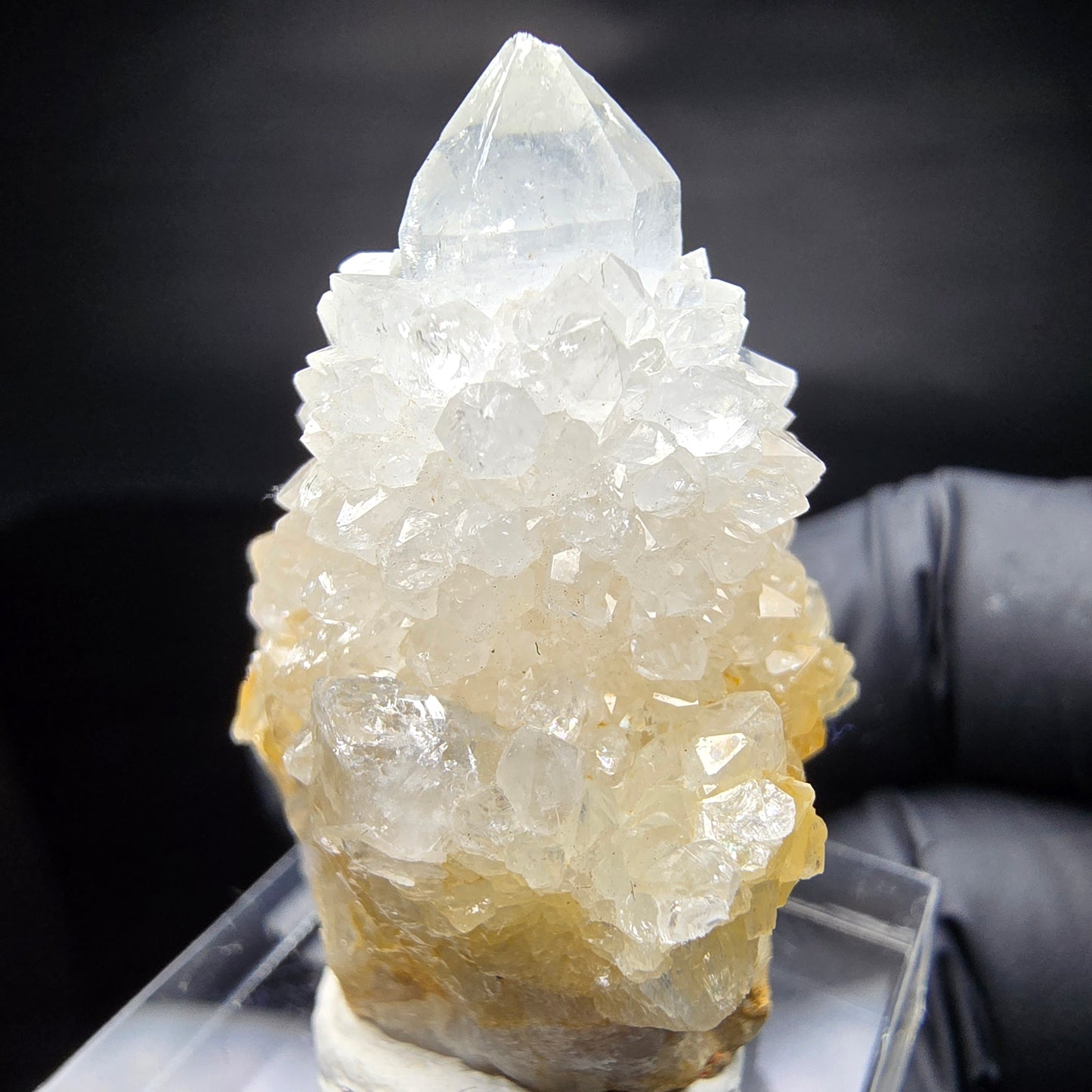 Kaktusquarz, Spirit Quarz XX Stufe Boekenhouthoek, Südafrika 35*29*25mm Sammlung