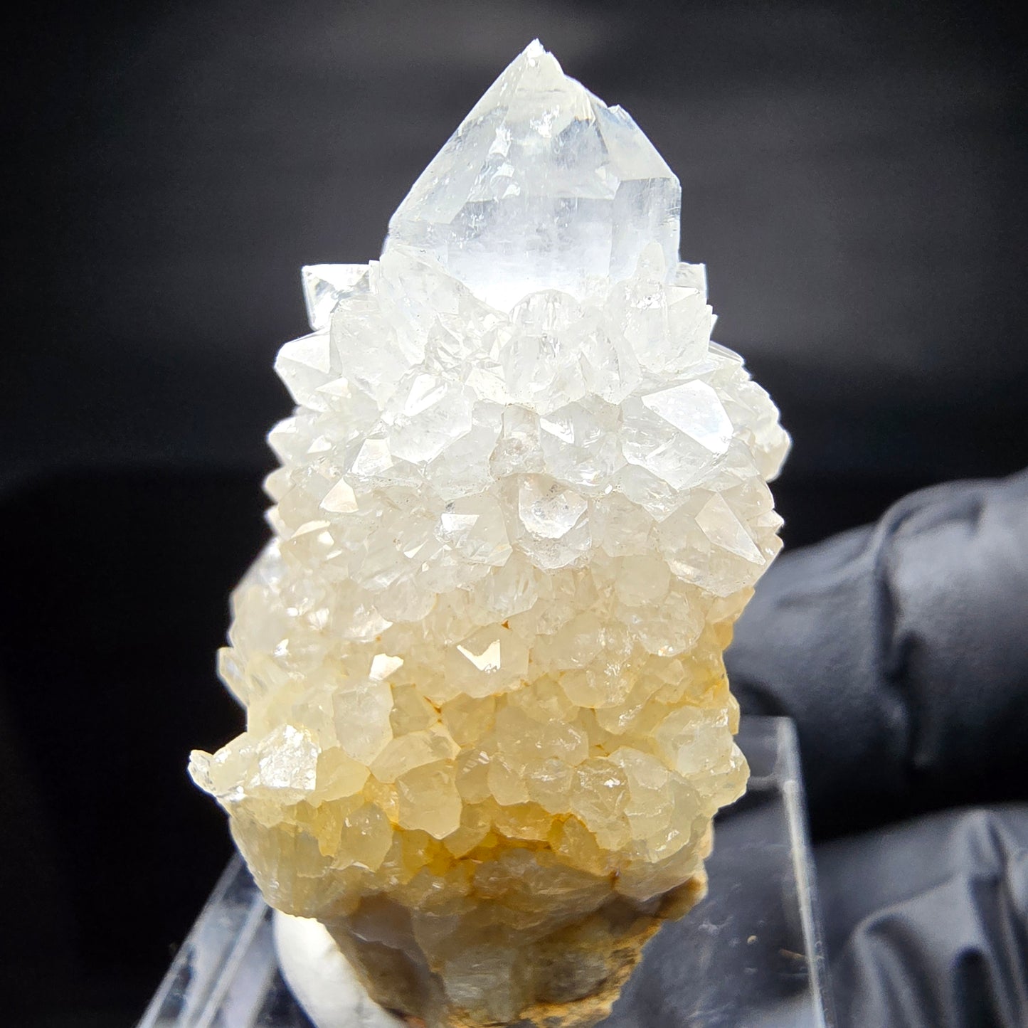 Kaktusquarz, Spirit Quarz XX Stufe Boekenhouthoek, Südafrika 35*29*25mm Sammlung