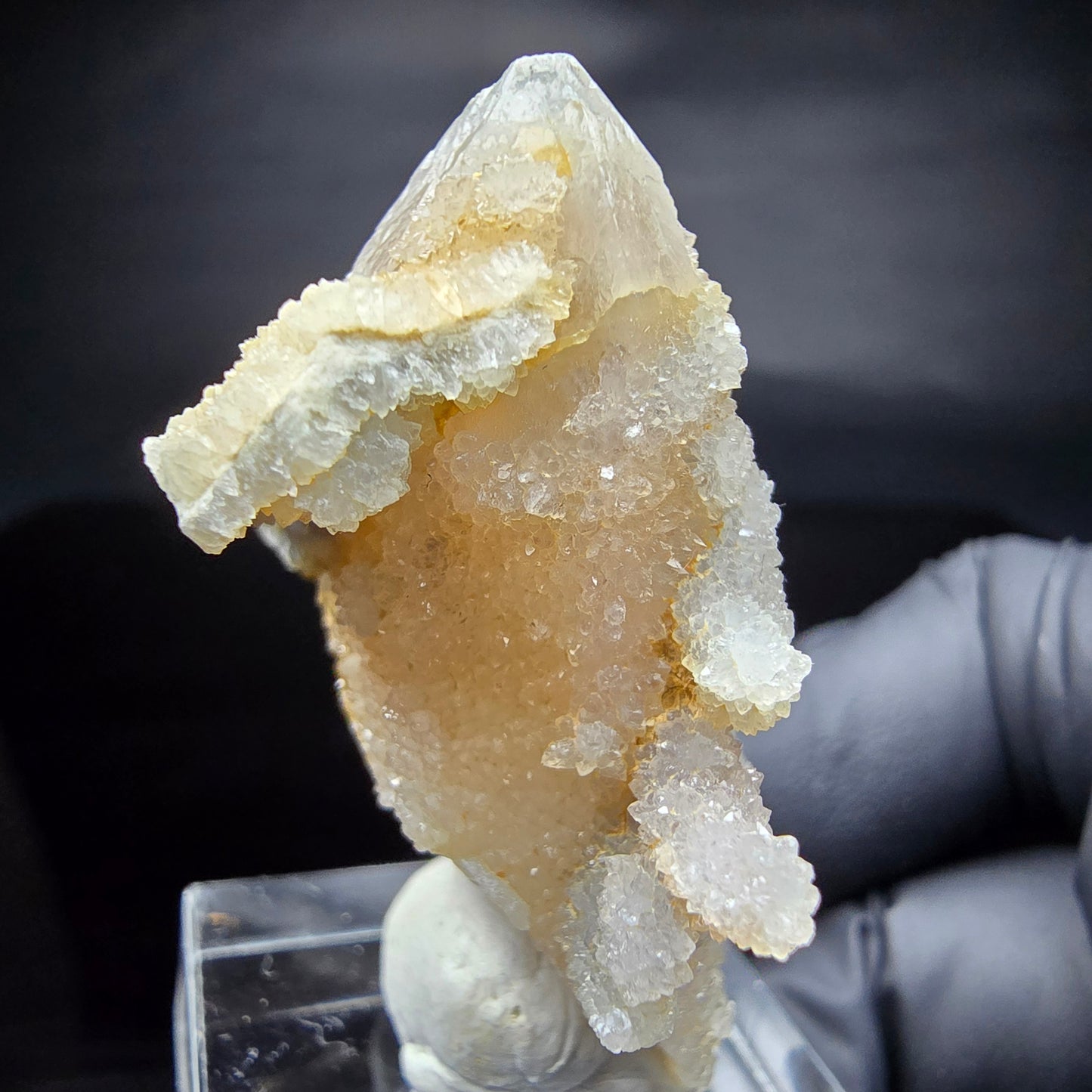 Kaktusquarz, Spirit Quarz XX Stufe Boekenhouthoek, Südafrika 45*37*26mm Sammlung