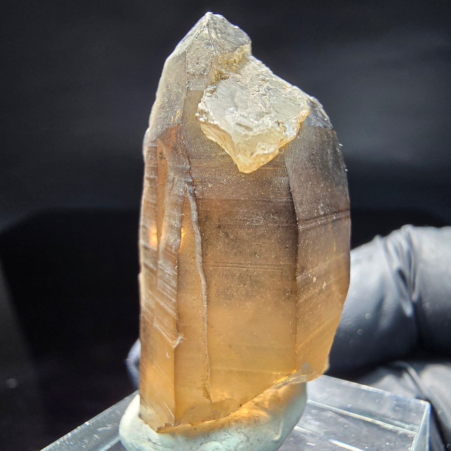 Seltene klare Rauchquarz mit Hyalit Spitze Erongo, Namibia 39*21*17mm Sammlung