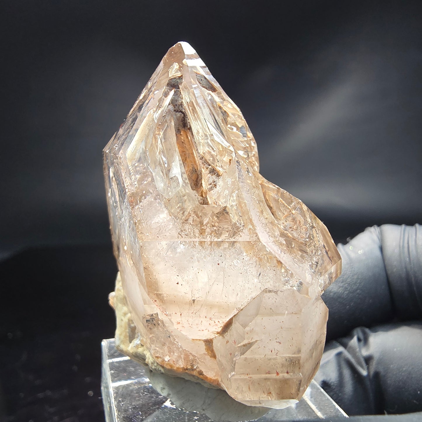 Enhydro Phantom Rauchquarz Zepter Fenster Quarz Goboboseb, Namibia 47*39*22mm