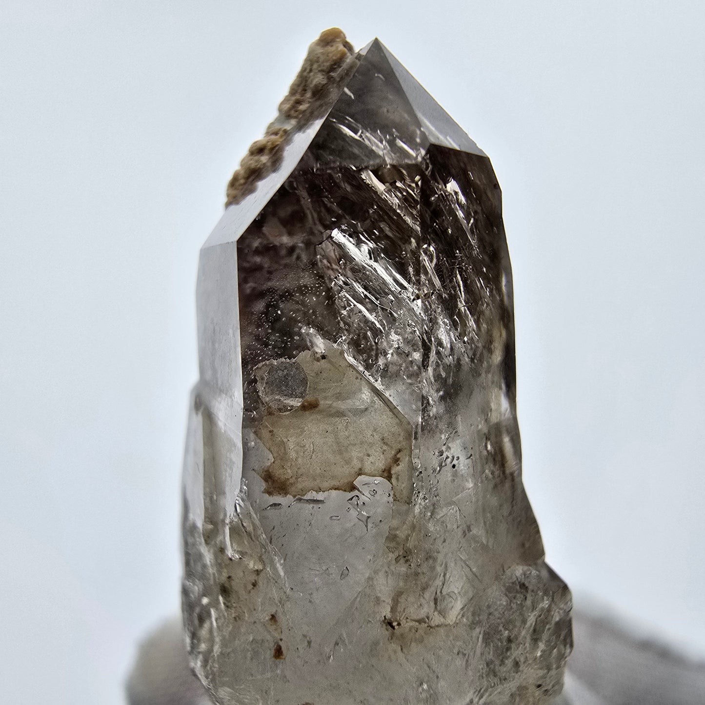 Enhydro Phantom Rauchquarz DT Zepter Quarz 2x Blase Goboboseb Namibia 46*21*17mm