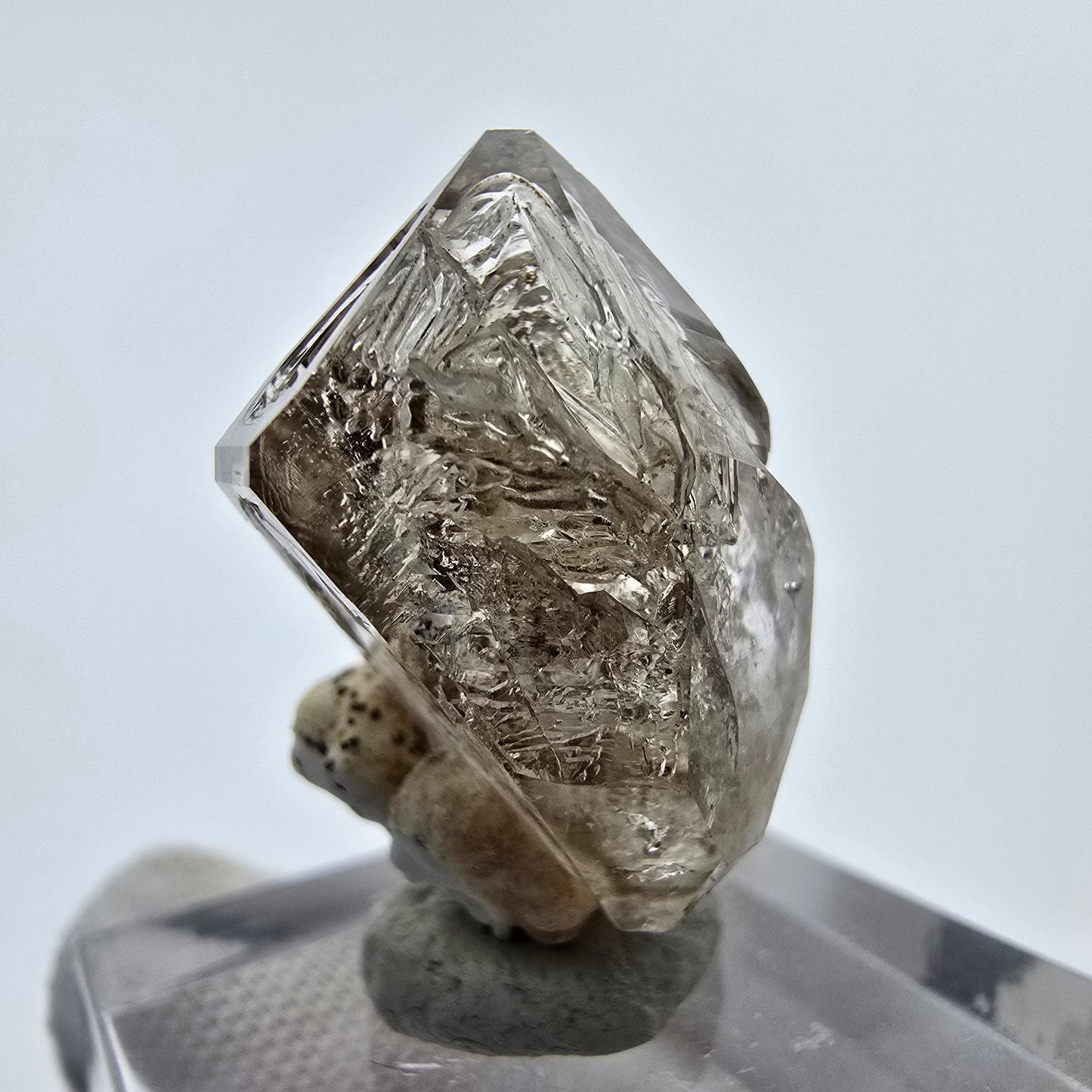 24x klare Phantom Rauchquarz Spitzen, Zepter aus Goboboseb, Namibia Lot Sammlung