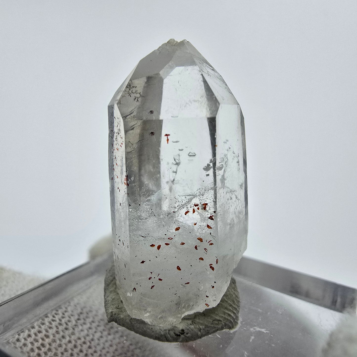 24x klare Phantom Rauchquarz Spitzen, Zepter aus Goboboseb, Namibia Lot Sammlung