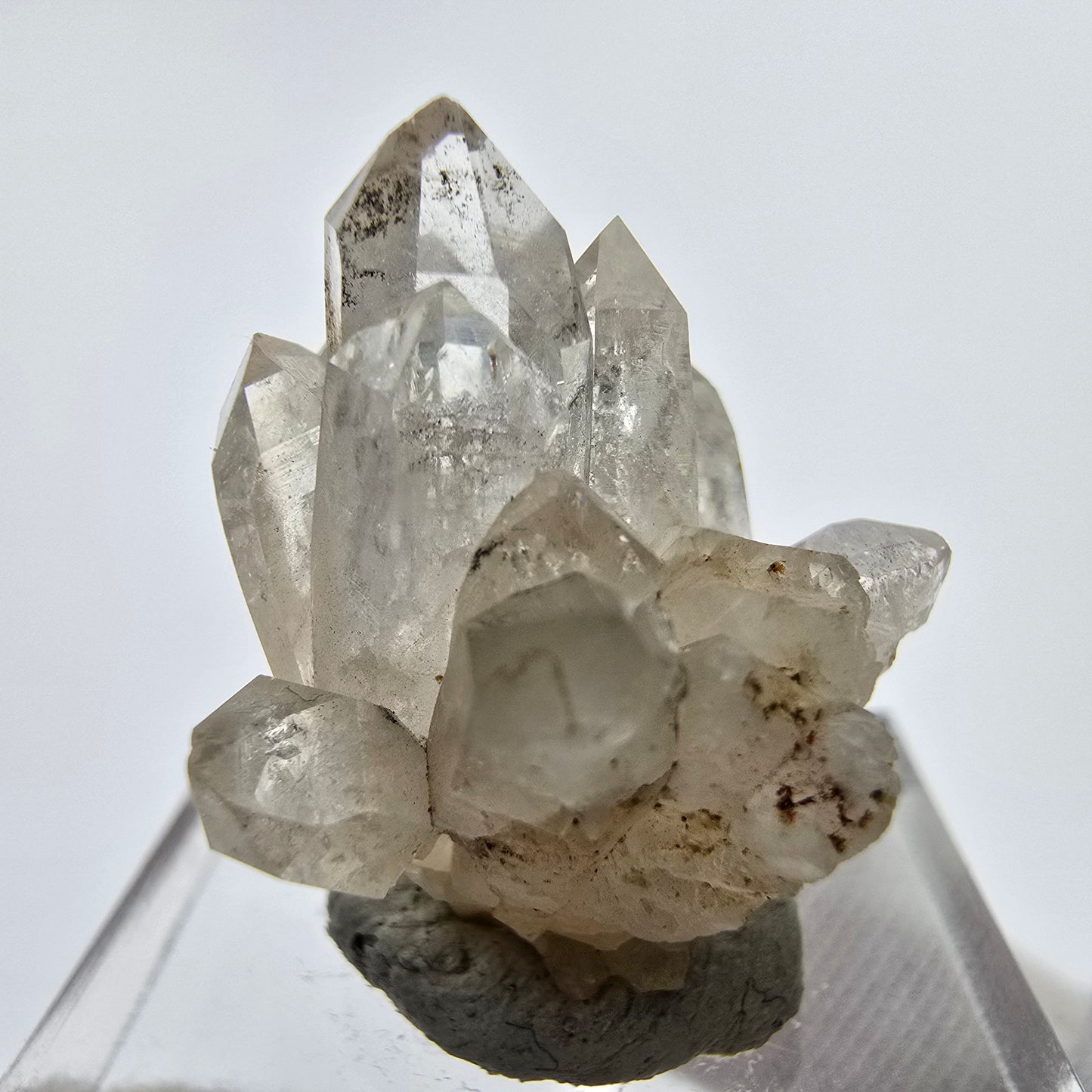 24x klare Phantom Rauchquarz Spitzen, Zepter aus Goboboseb, Namibia Lot Sammlung