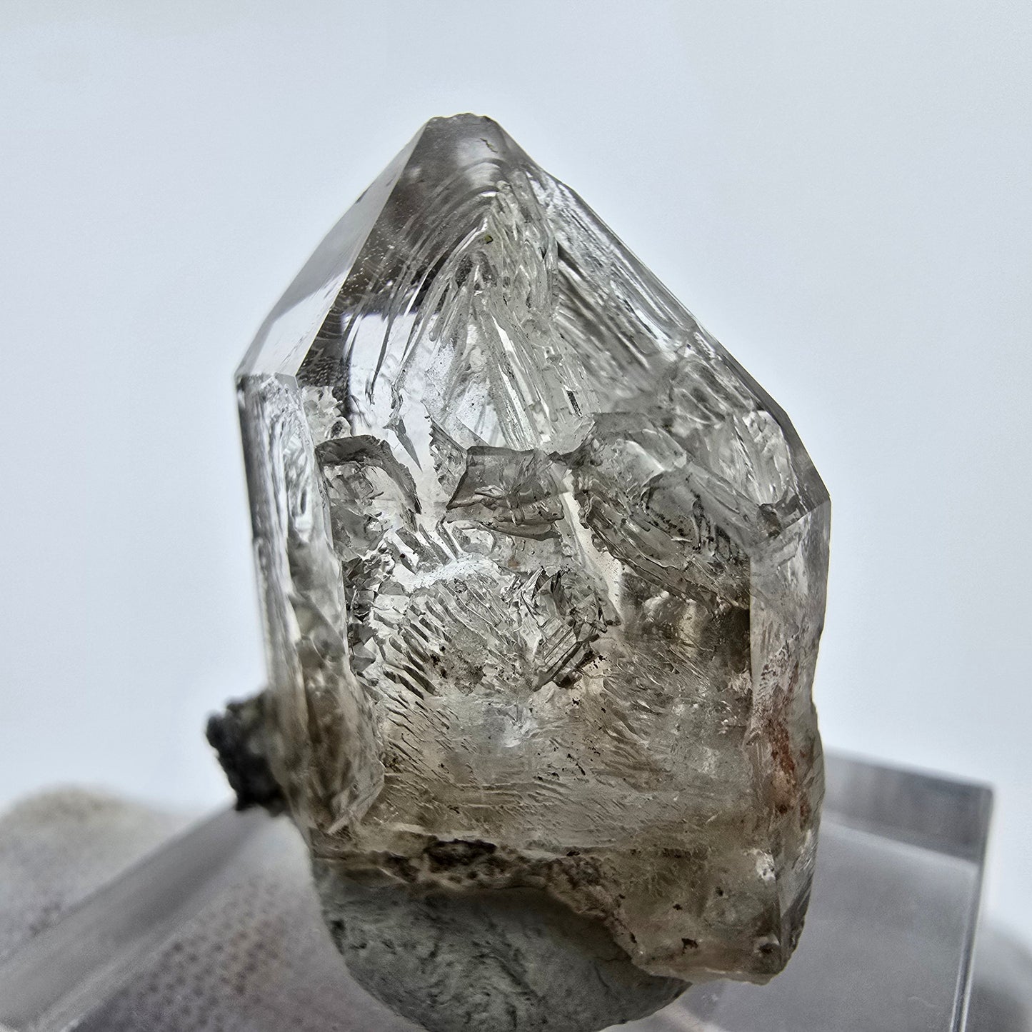 24x klare Phantom Rauchquarz Spitzen, Zepter aus Goboboseb, Namibia Lot Sammlung