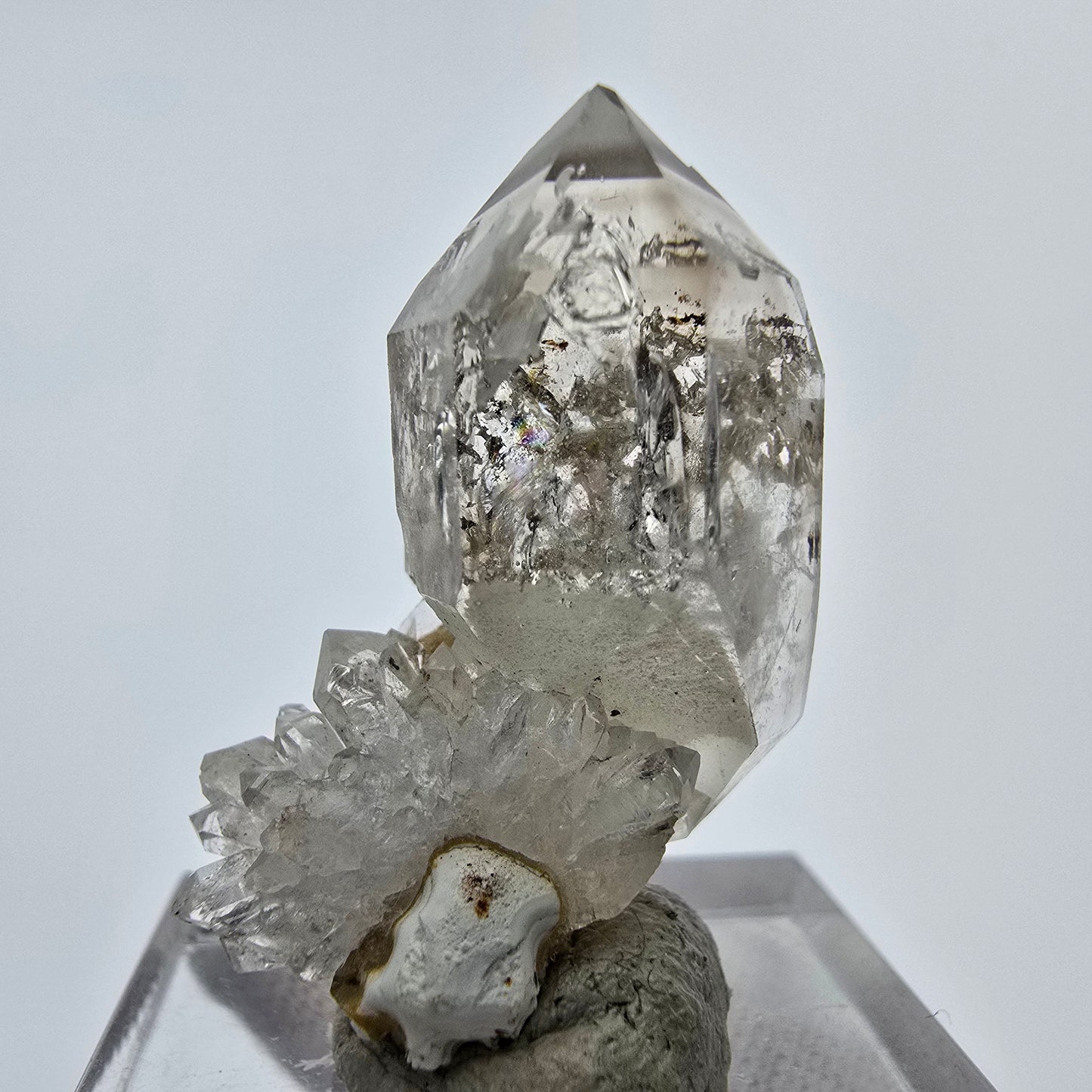 24x klare Phantom Rauchquarz Spitzen, Zepter aus Goboboseb, Namibia Lot Sammlung