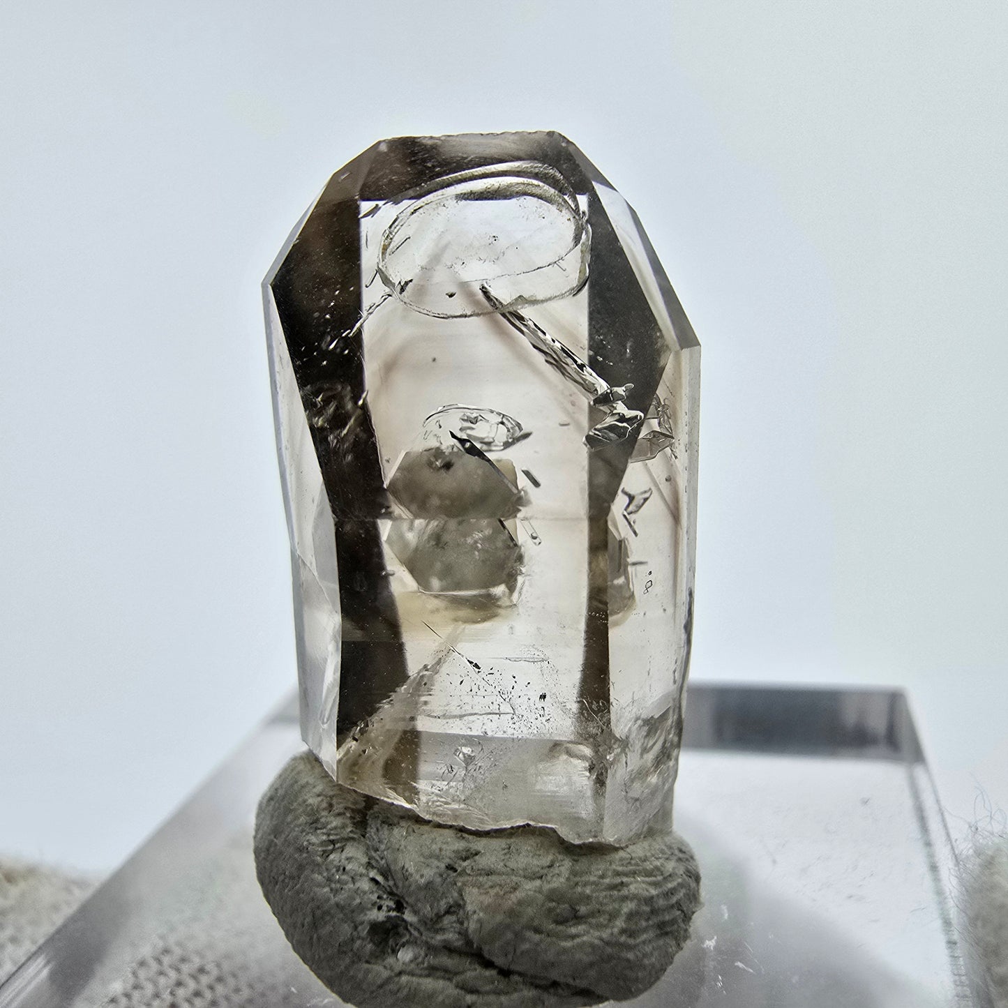 24x klare Phantom Rauchquarz Spitzen, Zepter aus Goboboseb, Namibia Lot Sammlung