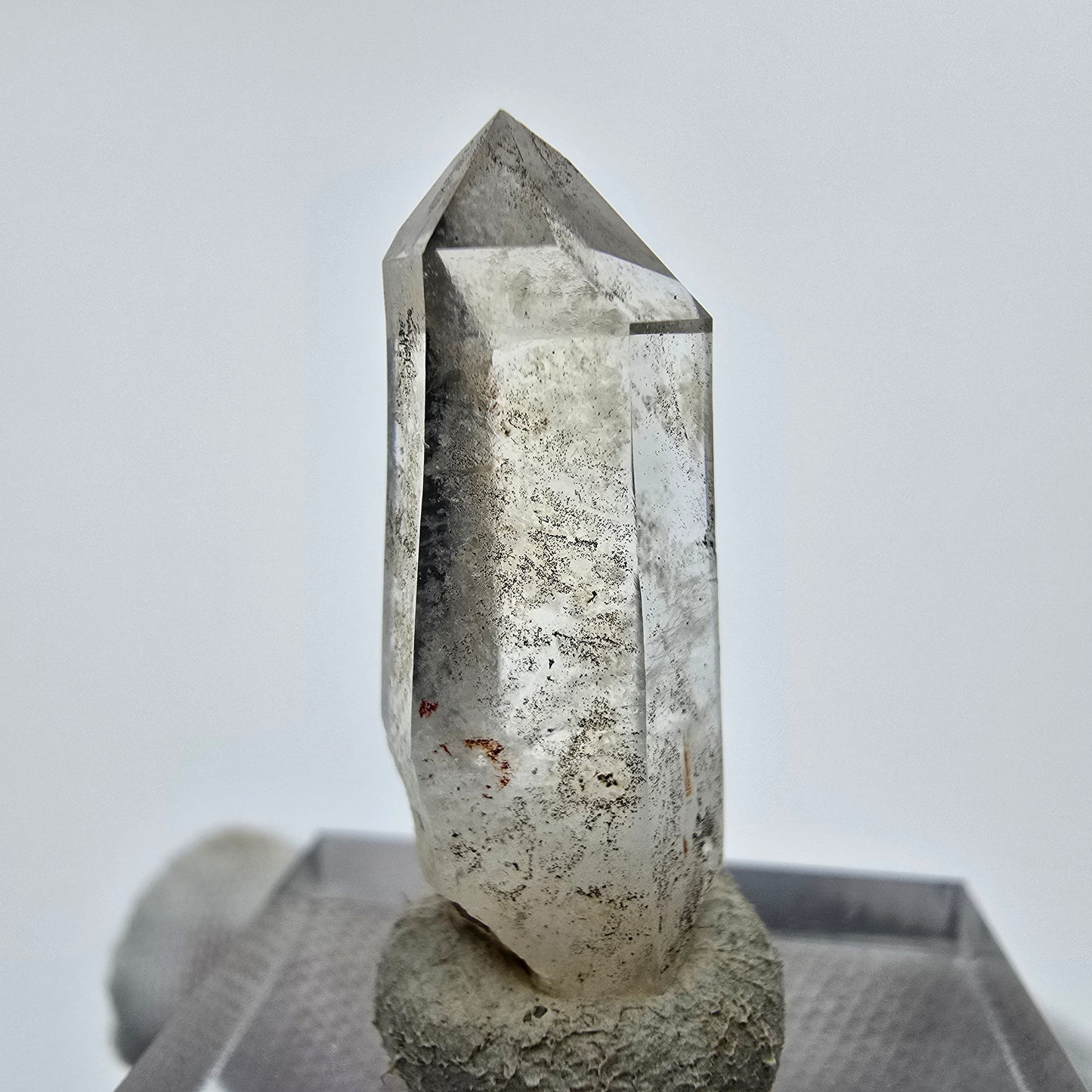 24x klare Phantom Rauchquarz Spitzen, Zepter aus Goboboseb, Namibia Lot Sammlung