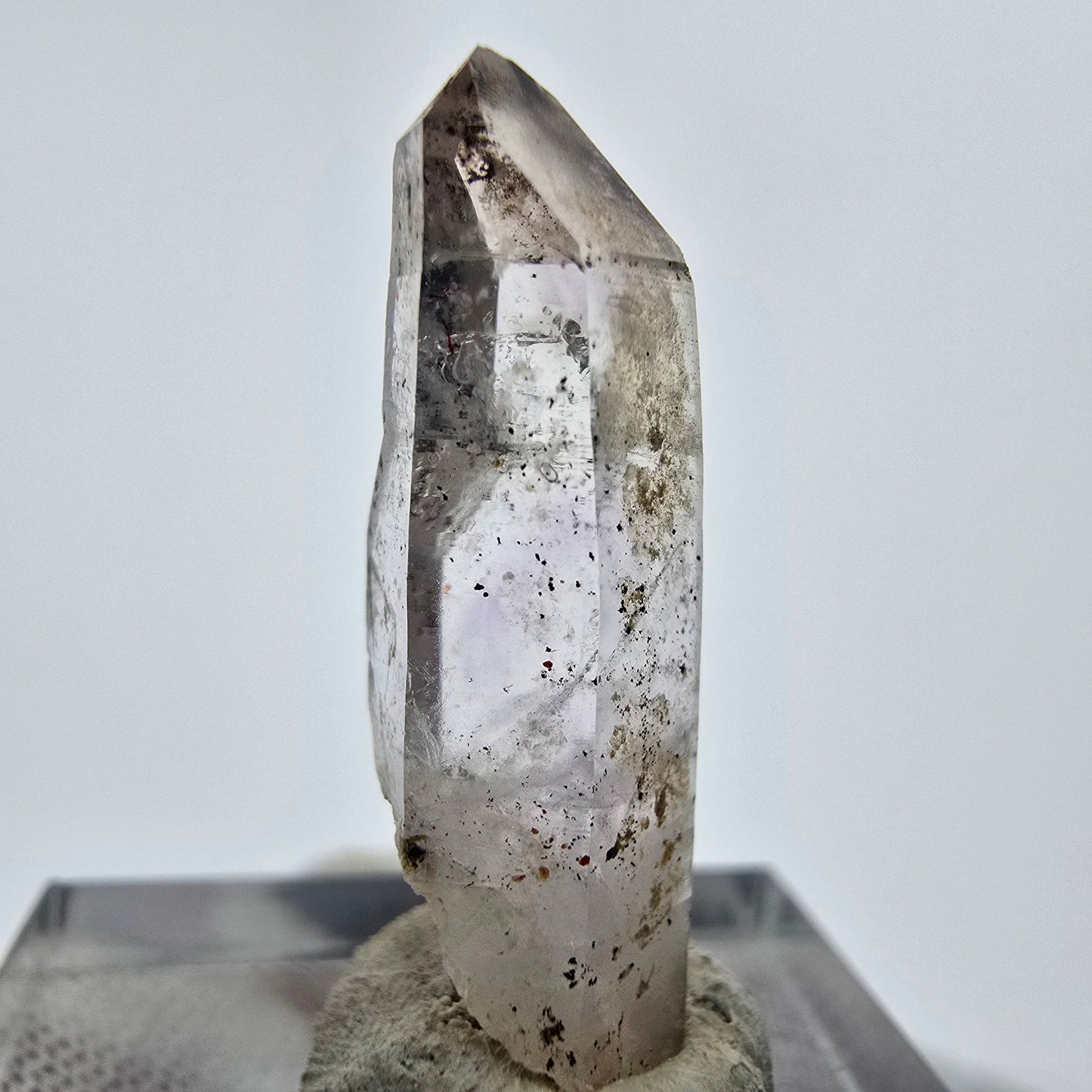 24x klare Phantom Rauchquarz Spitzen, Zepter aus Goboboseb, Namibia Lot Sammlung