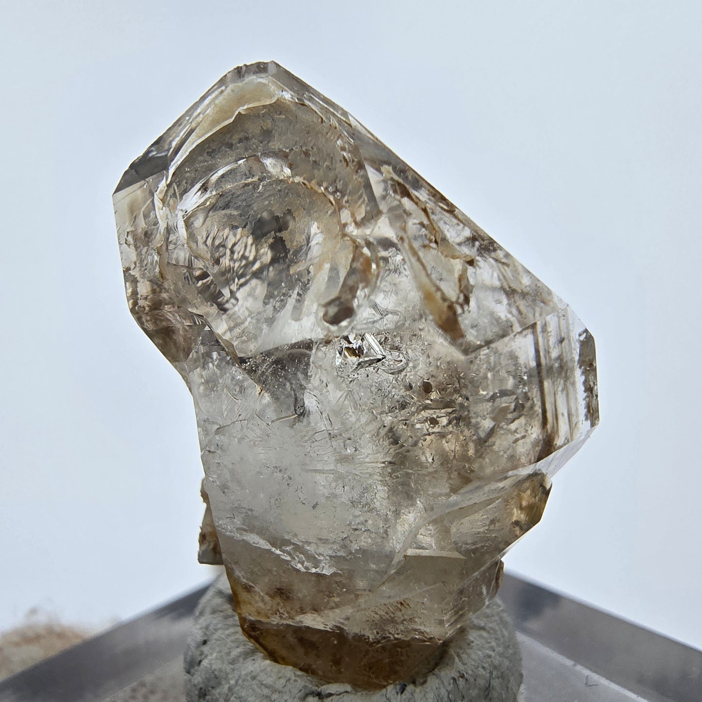 14x klare Phantom Rauchquarz Spitzen, Zepter aus Goboboseb, Namibia Lot Sammlung