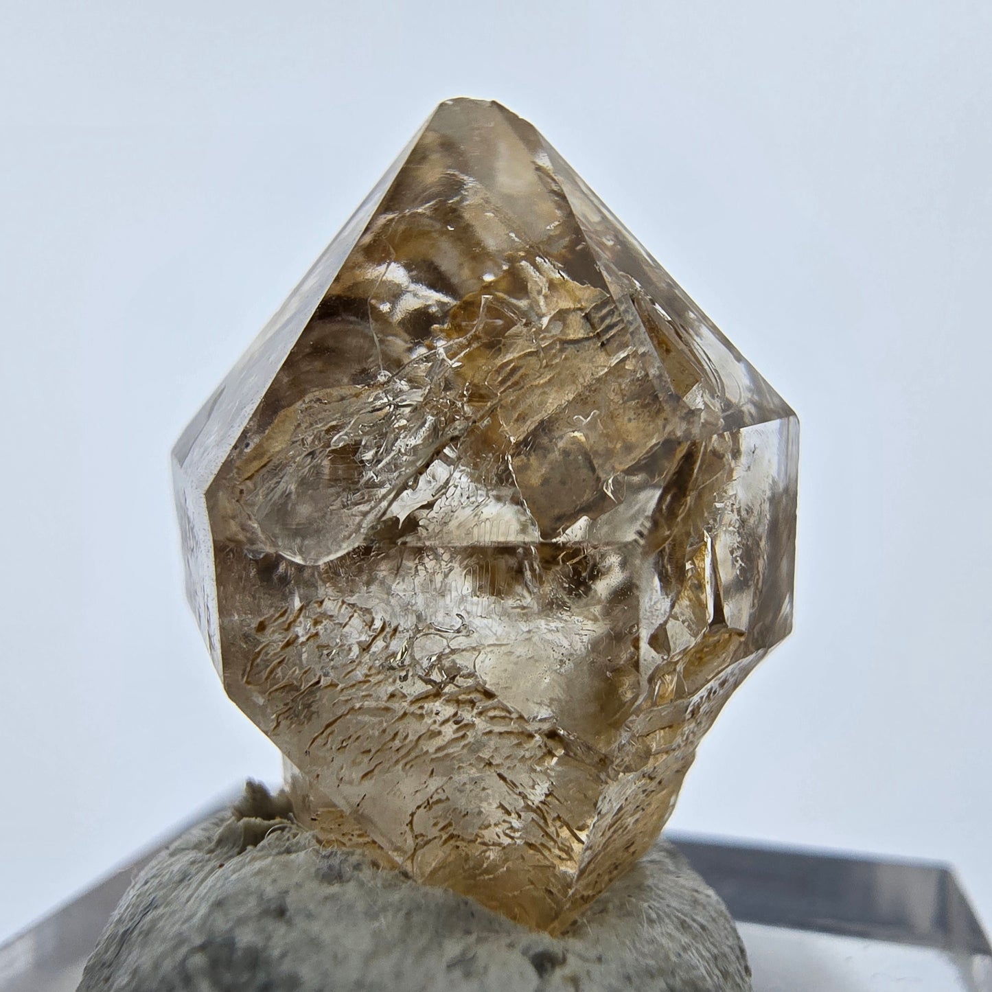 14x klare Phantom Rauchquarz Spitzen, Zepter aus Goboboseb, Namibia Lot Sammlung
