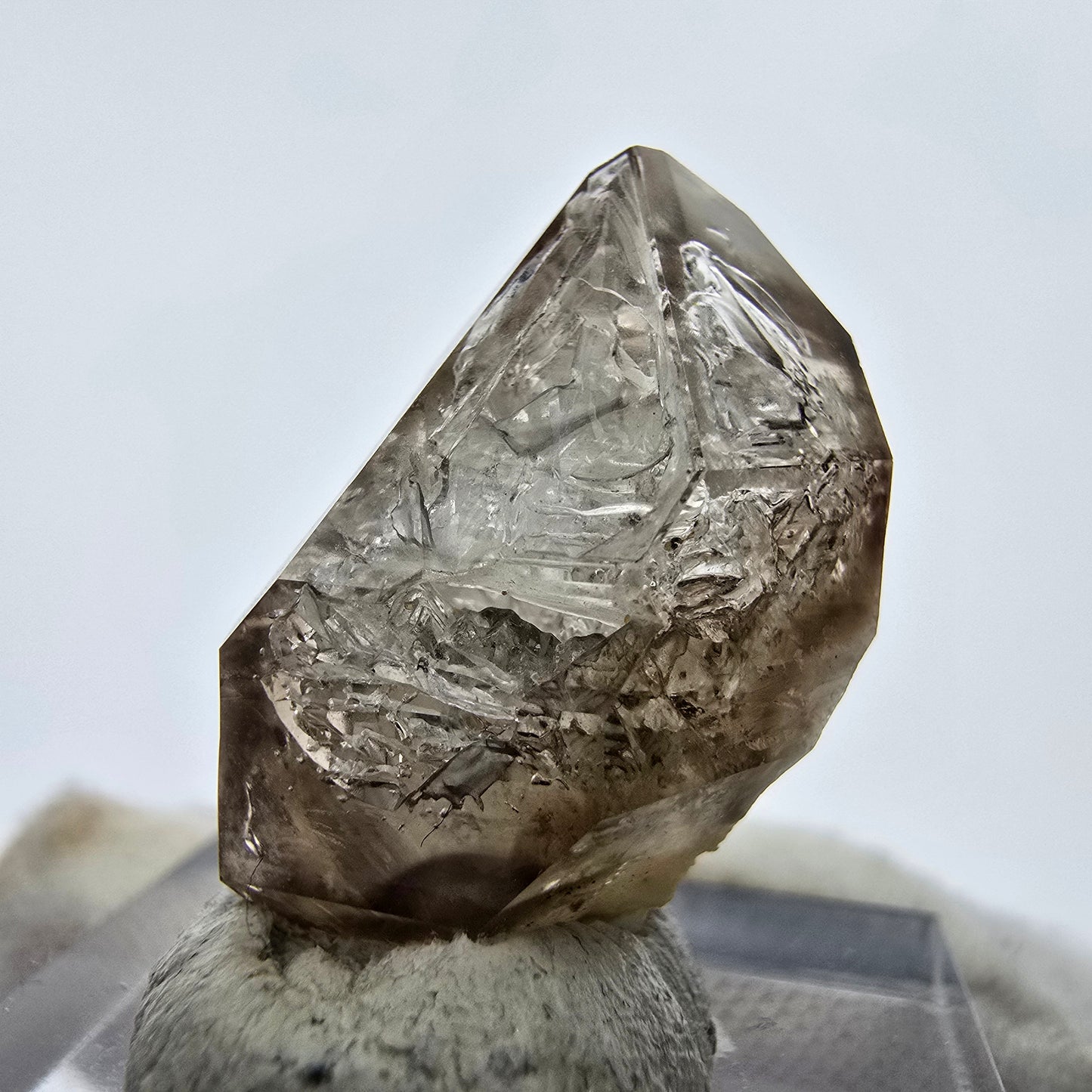 14x klare Phantom Rauchquarz Spitzen, Zepter aus Goboboseb, Namibia Lot Sammlung