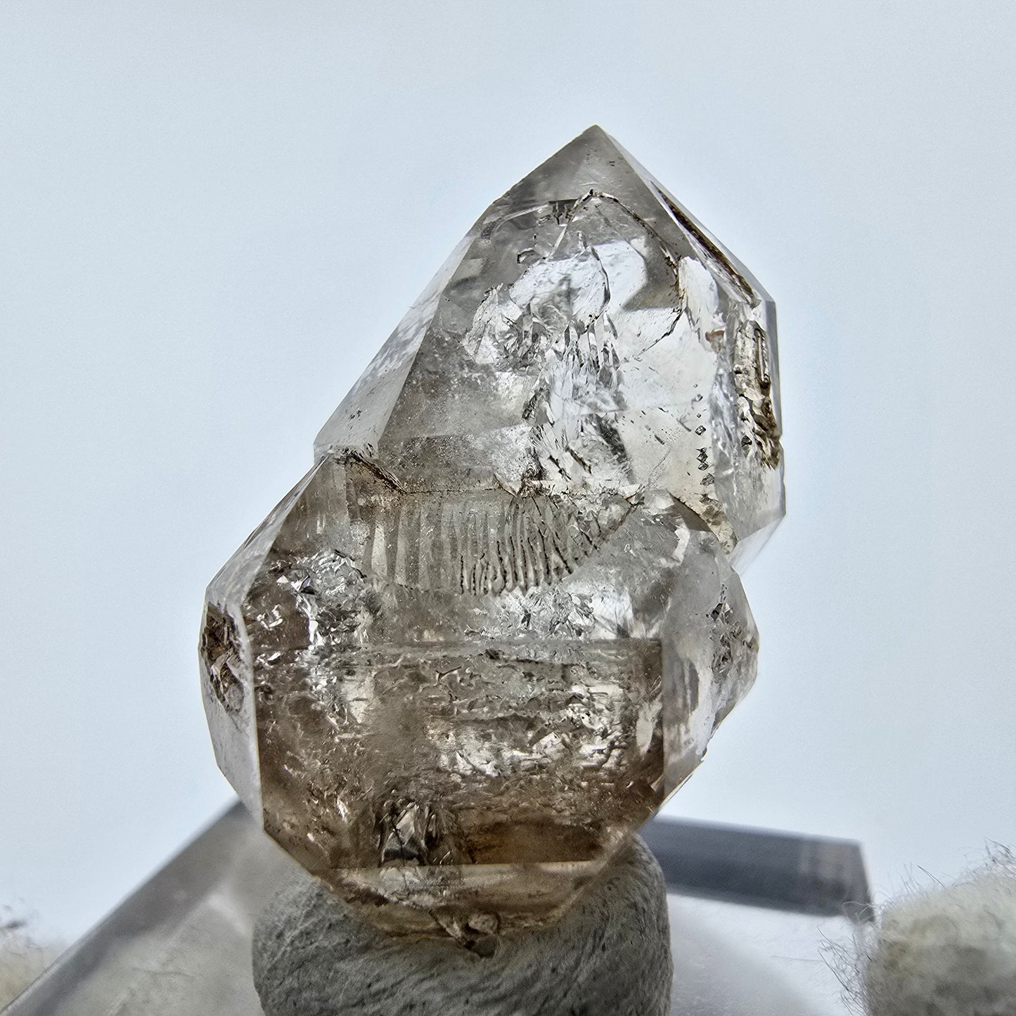 14x klare Phantom Rauchquarz Spitzen, Zepter aus Goboboseb, Namibia Lot Sammlung