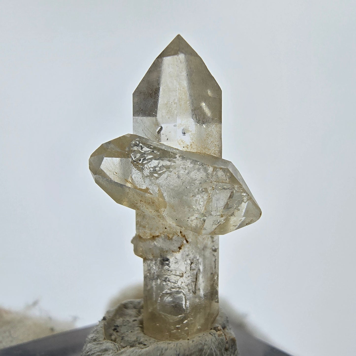 14x klare Phantom Rauchquarz Spitzen, Zepter aus Goboboseb, Namibia Lot Sammlung