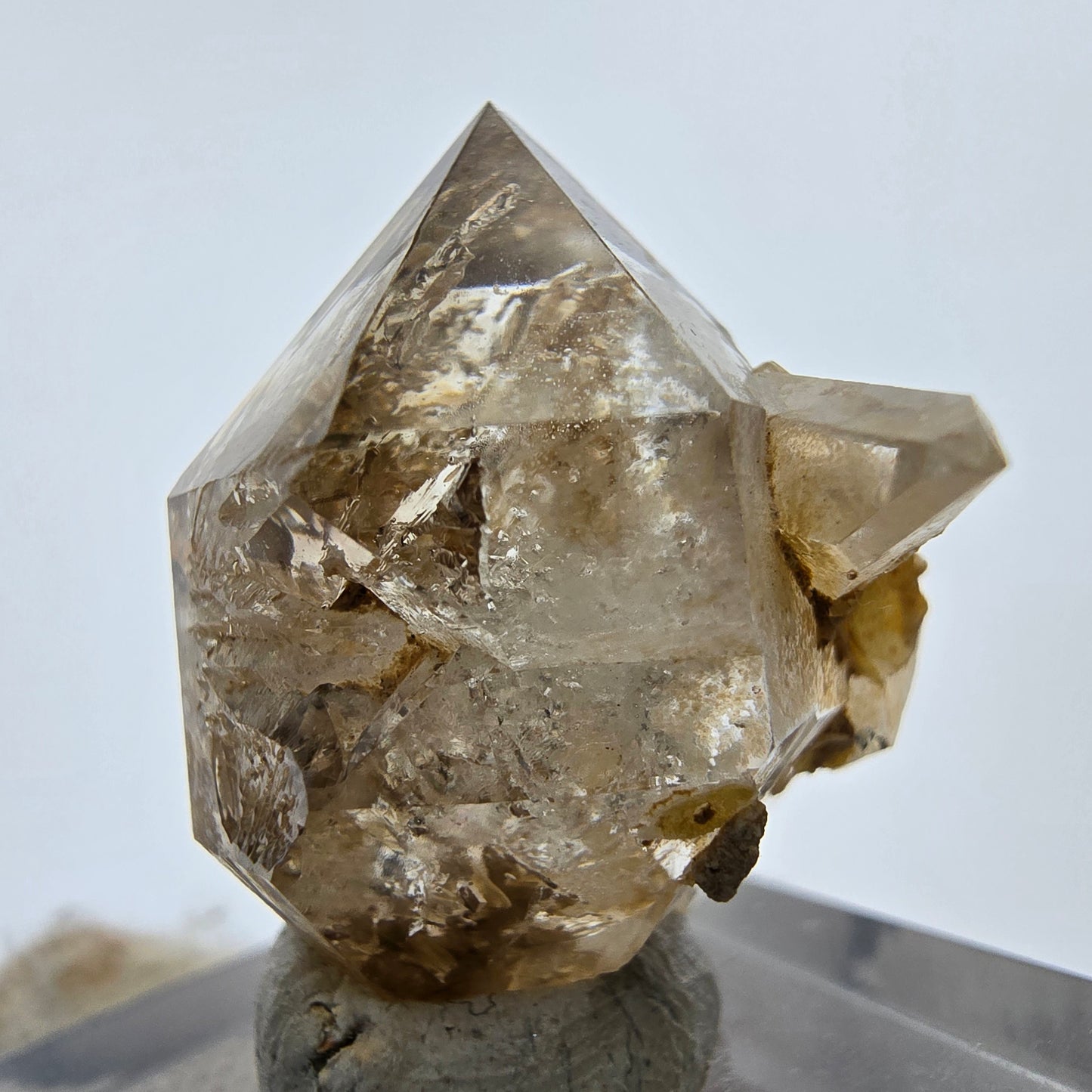 14x klare Phantom Rauchquarz Spitzen, Zepter aus Goboboseb, Namibia Lot Sammlung