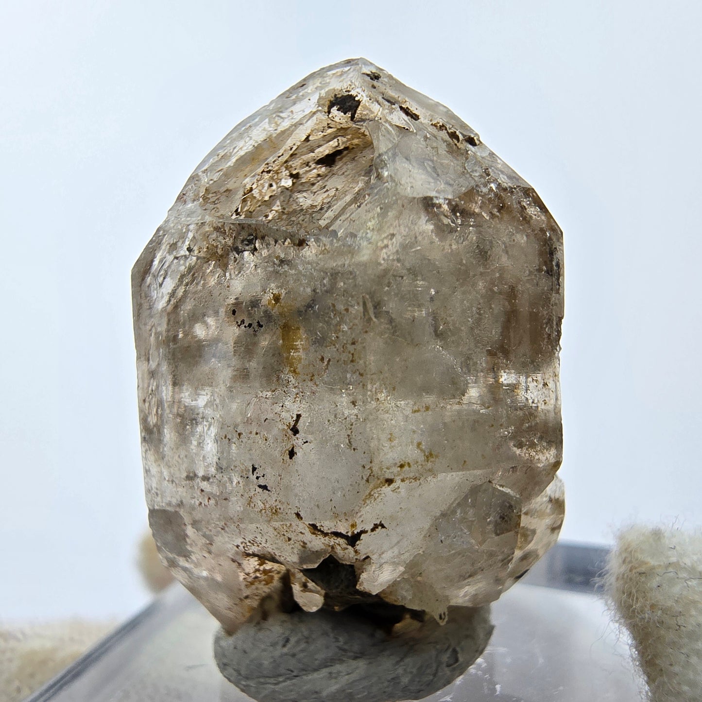 14x klare Phantom Rauchquarz Spitzen, Zepter aus Goboboseb, Namibia Lot Sammlung