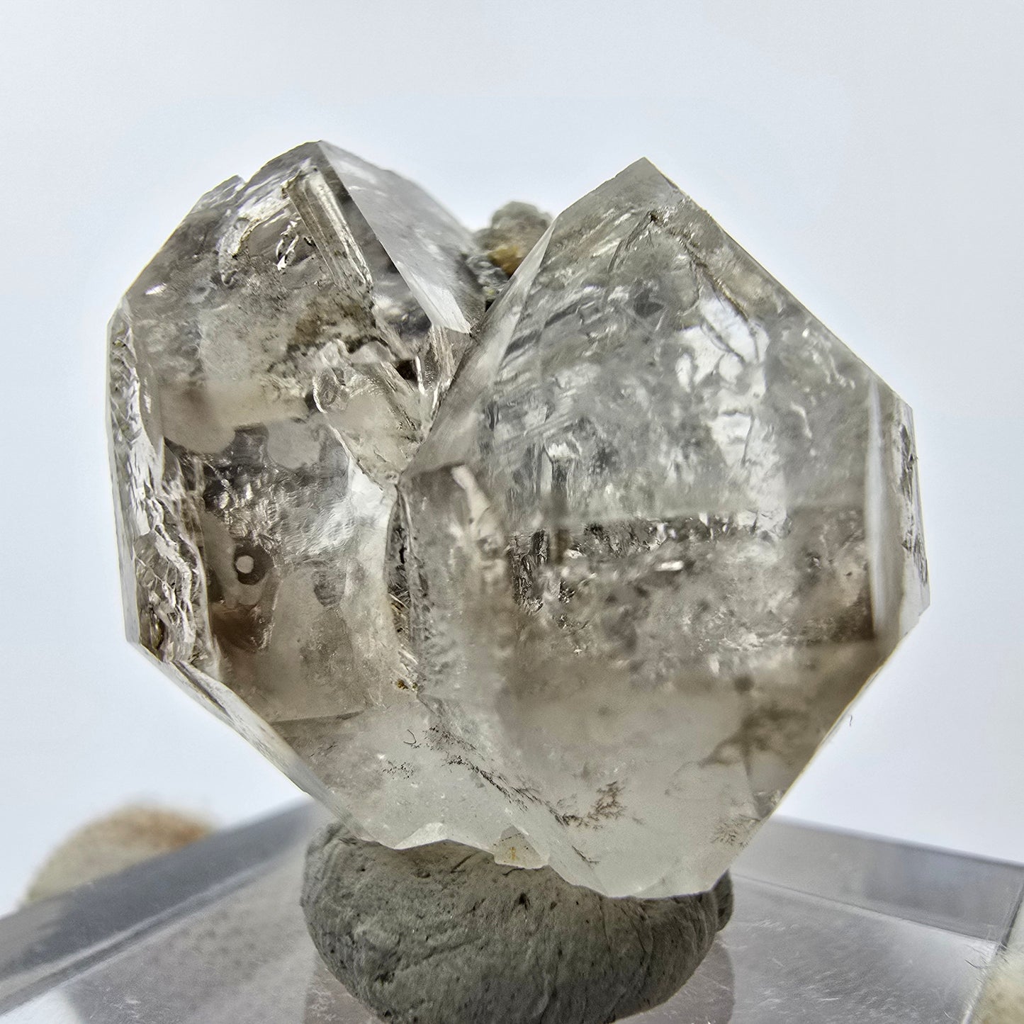 14x klare Phantom Rauchquarz Spitzen, Zepter aus Goboboseb, Namibia Lot Sammlung