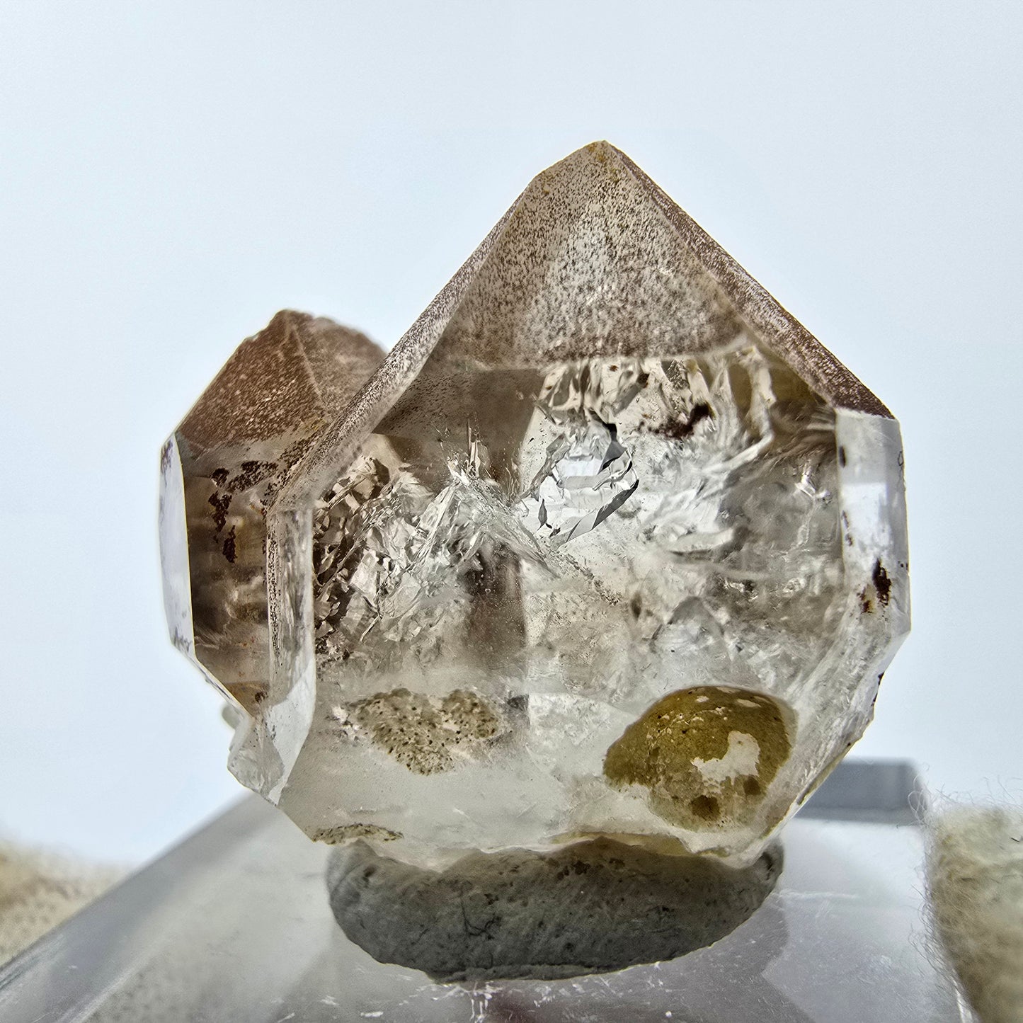 14x klare Phantom Rauchquarz Spitzen, Zepter aus Goboboseb, Namibia Lot Sammlung