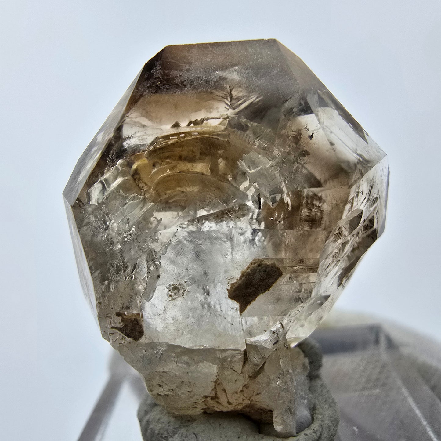 14x klare Phantom Rauchquarz Spitzen, Zepter aus Goboboseb, Namibia Lot Sammlung