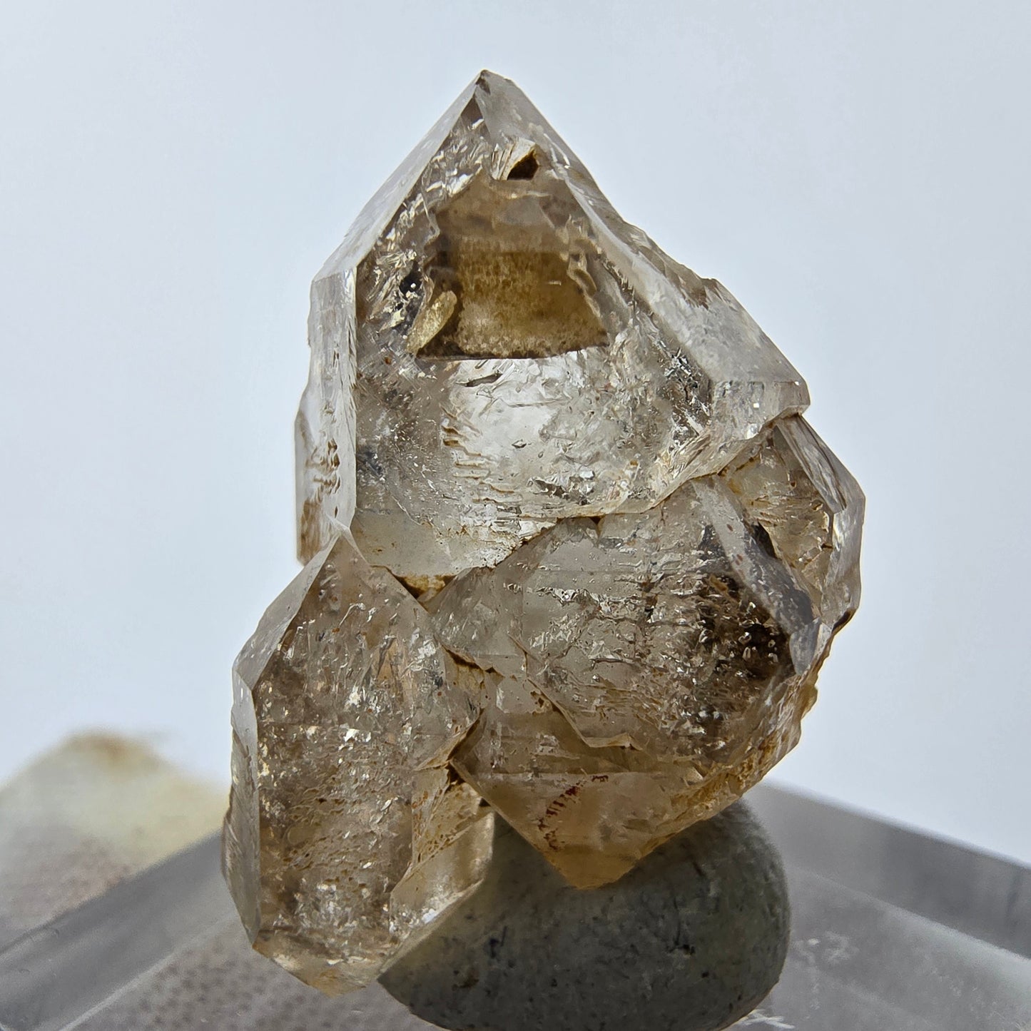 14x klare Phantom Rauchquarz Spitzen, Zepter aus Goboboseb, Namibia Lot Sammlung
