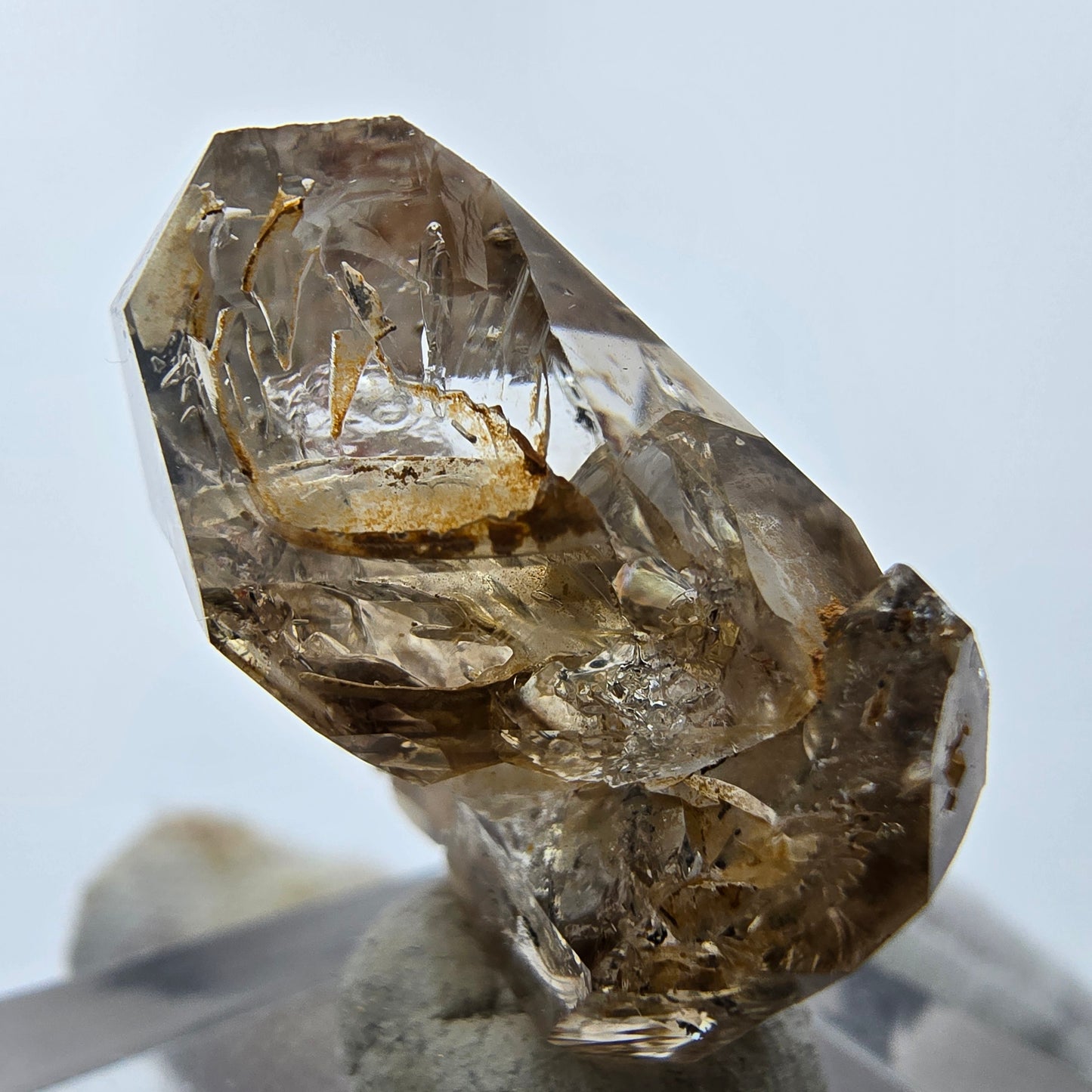14x klare Phantom Rauchquarz Spitzen, Zepter aus Goboboseb, Namibia Lot Sammlung