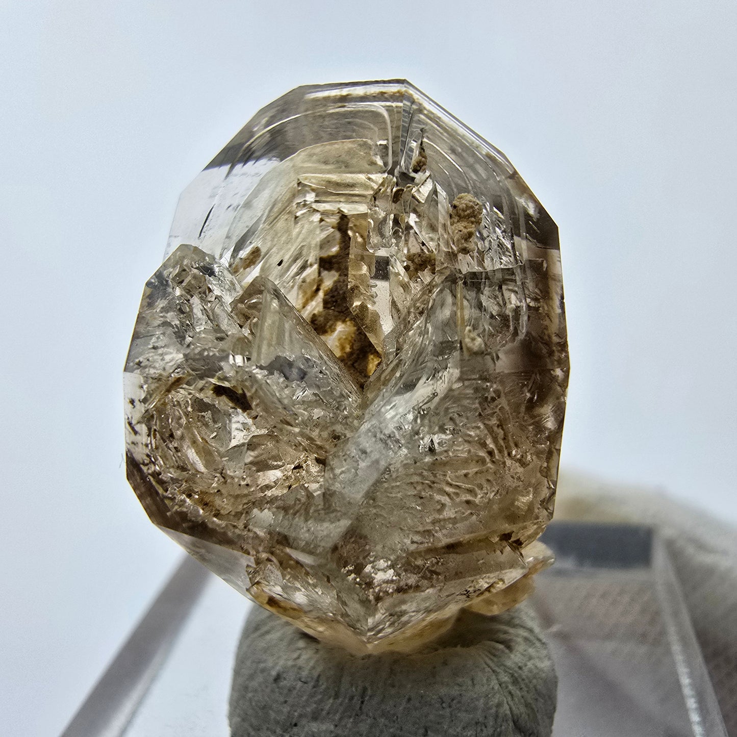 14x klare Phantom Rauchquarz Spitzen, Zepter aus Goboboseb, Namibia Lot Sammlung