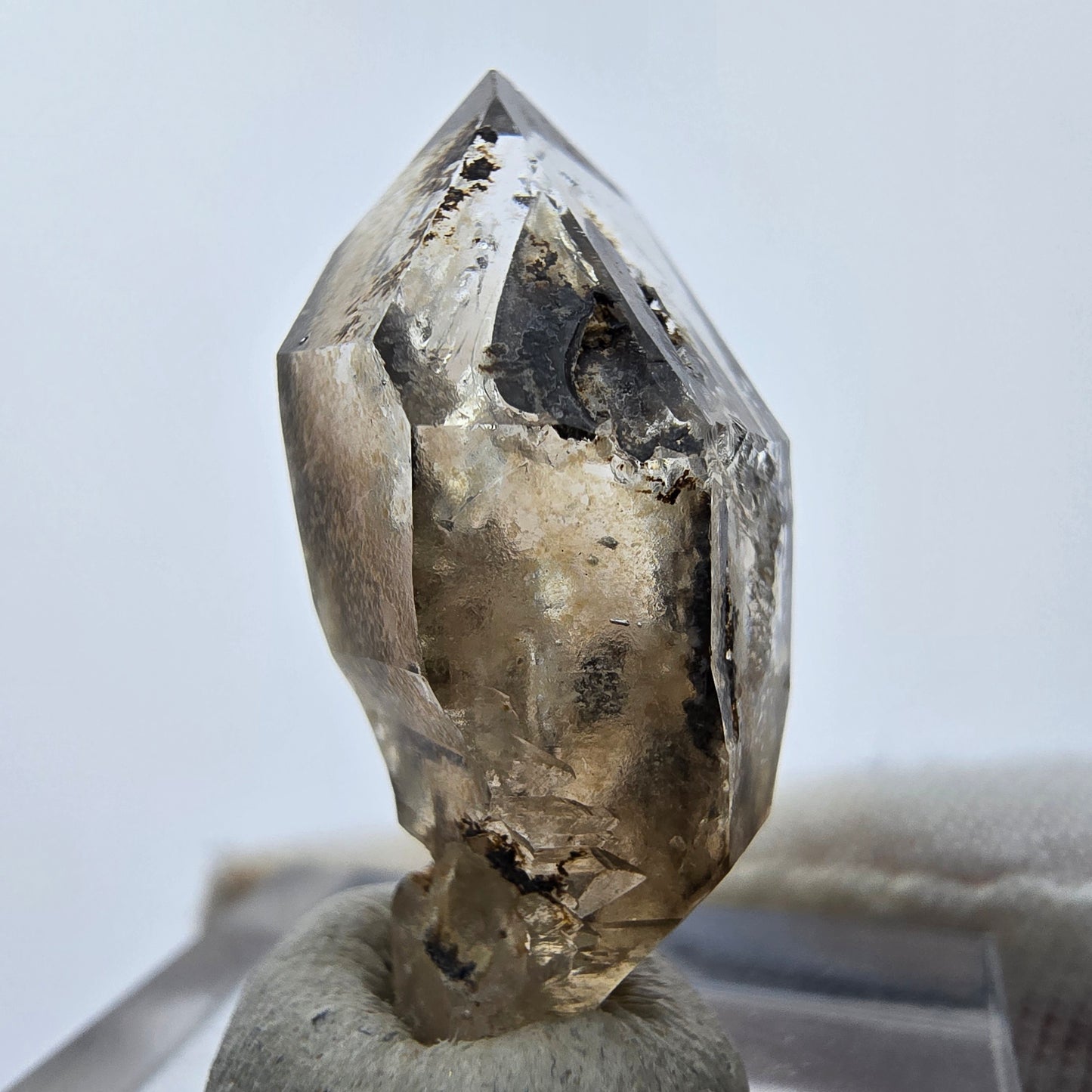 14x klare Phantom Rauchquarz Spitzen, Zepter aus Goboboseb, Namibia Lot Sammlung