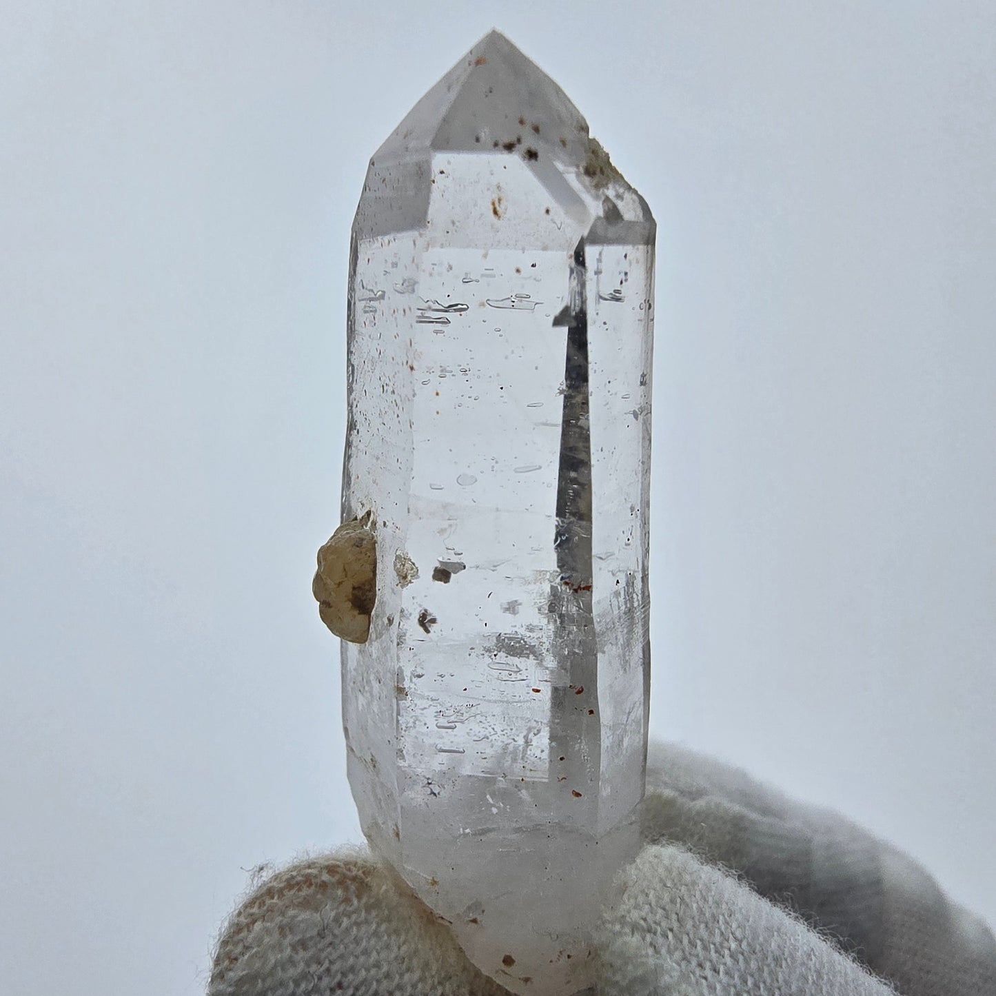 12x klare Phantom Rauchquarz Spitzen, Zepter aus Goboboseb, Namibia Lot Sammlung