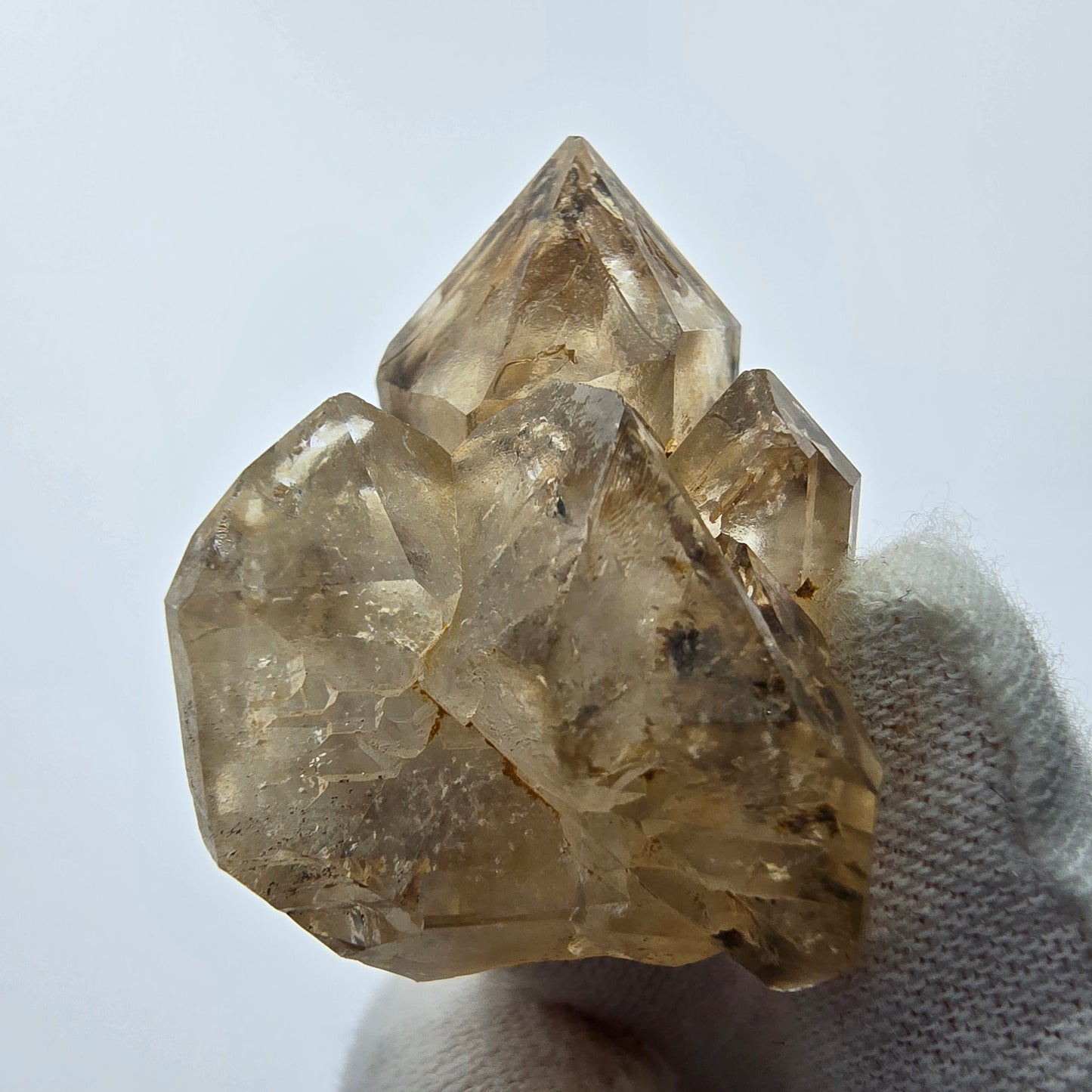 12x klare Phantom Rauchquarz Spitzen, Zepter aus Goboboseb, Namibia Lot Sammlung