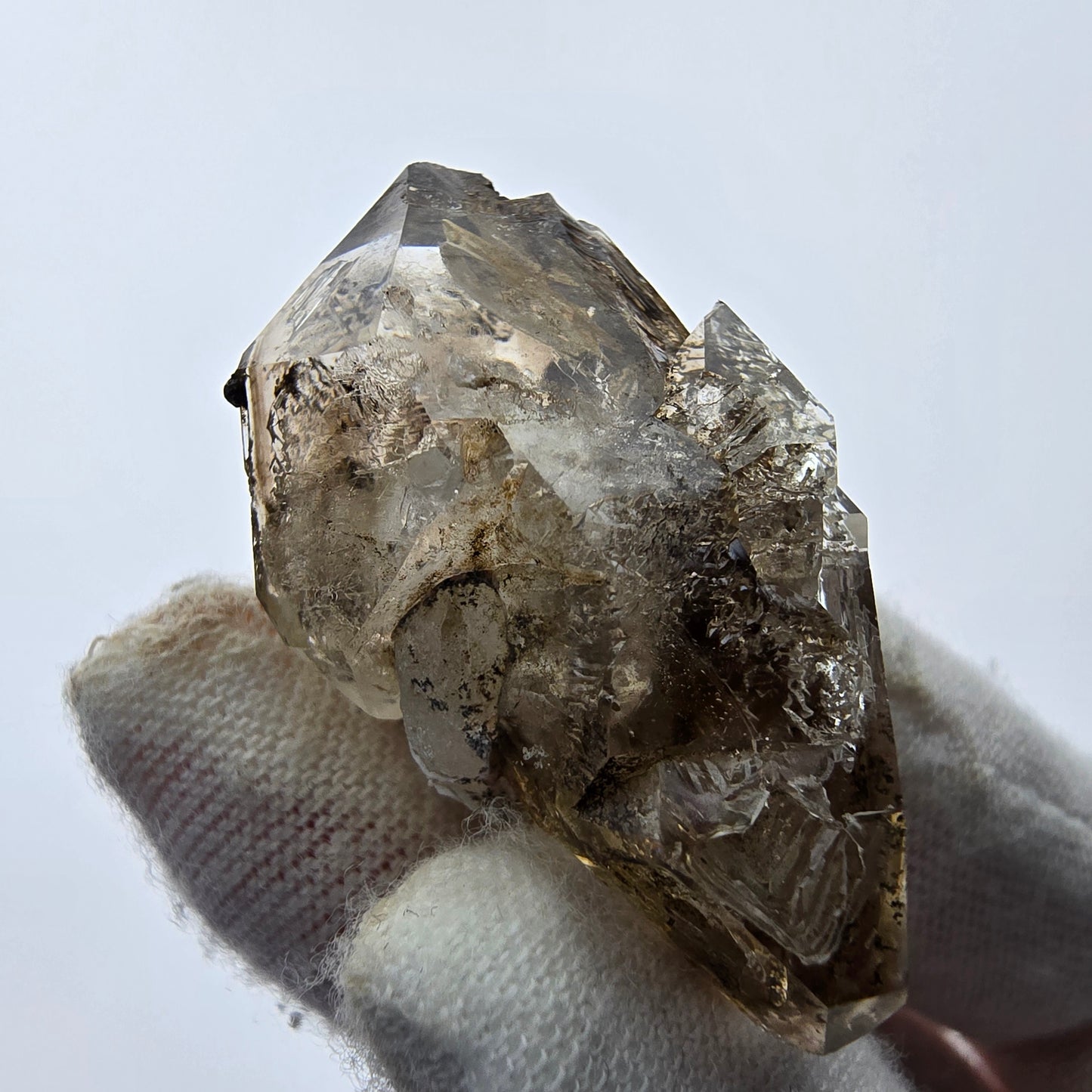 12x klare Phantom Rauchquarz Spitzen, Zepter aus Goboboseb, Namibia Lot Sammlung