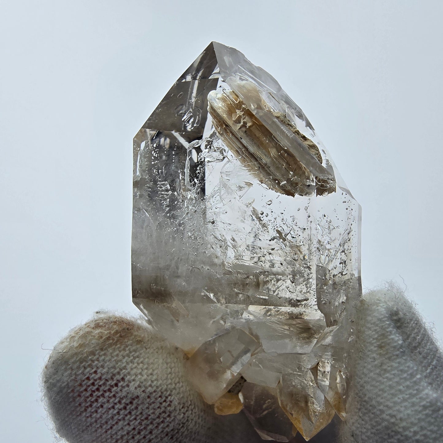 7x große Phantom Rauchquarz Spitzen, Zepter aus Goboboseb Namibia Lot Sammlung