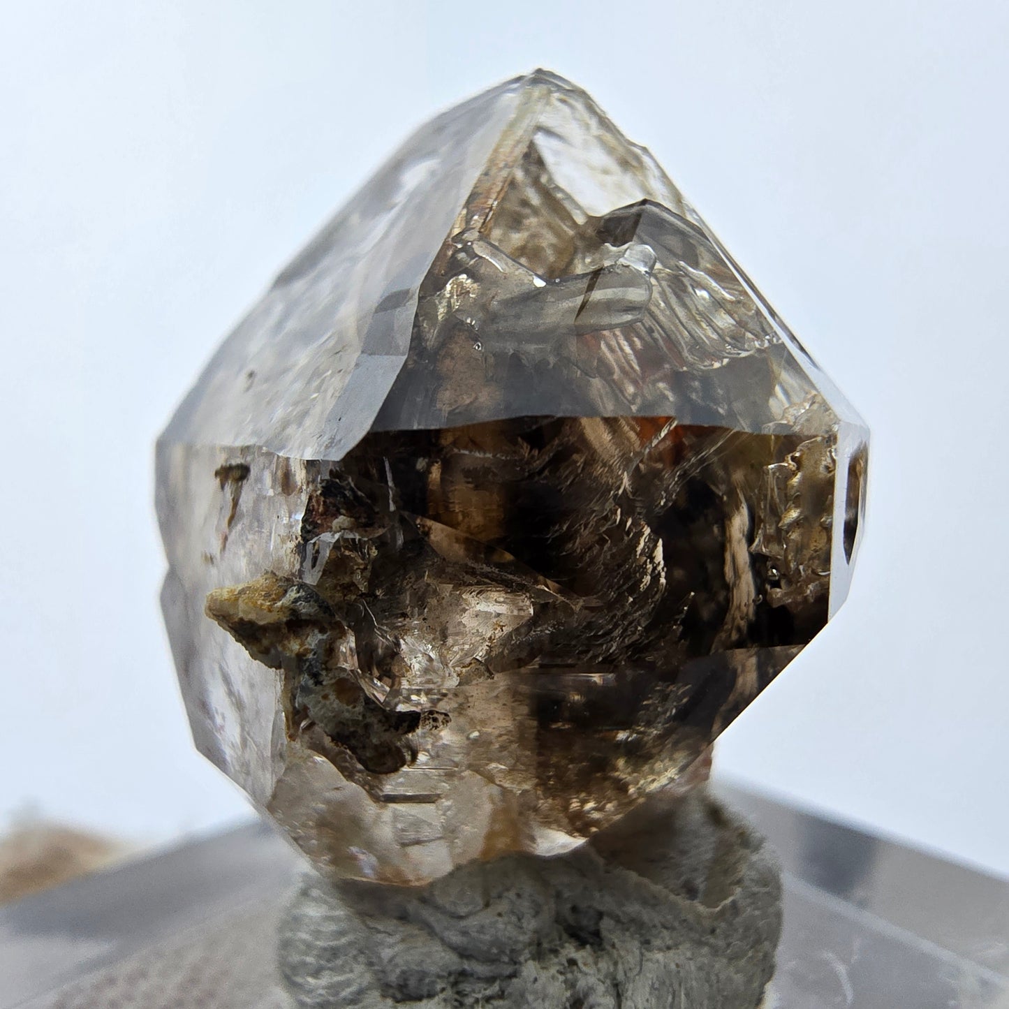 15x klare Phantom Rauchquarz Spitzen, Zepter aus Goboboseb, Namibia Lot Sammlung
