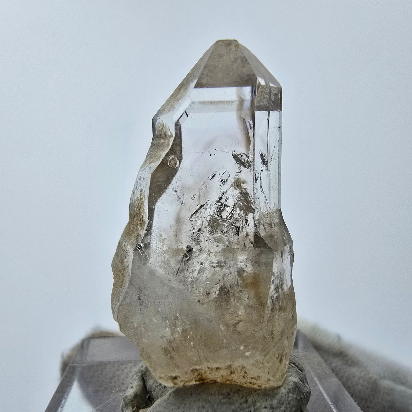 15x klare Phantom Rauchquarz Spitzen, Zepter aus Goboboseb, Namibia Lot Sammlung